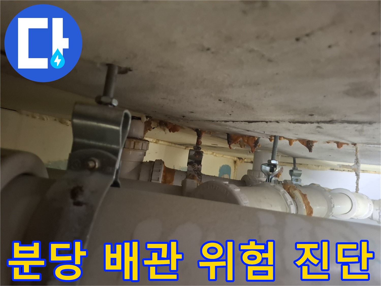분당 봇들마을 아파트 - 배관 상태 점검, 누수 위험 꼼꼼하게 진단