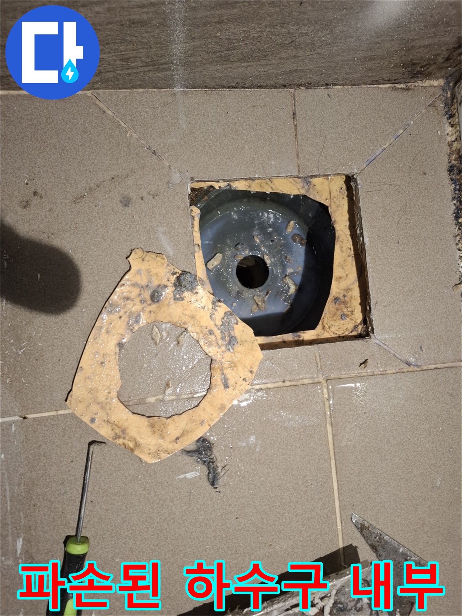 분당 봇들마을 아파트 - 욕실 하수구 파손 내부 - 오염 및 악취 발생 가능성