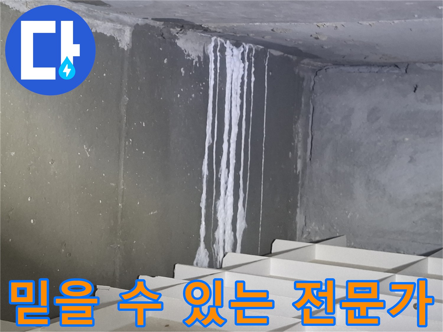 분당 봇들마을 아파트 - 지하 석회 누수, 믿을 수 있는 누수 전문가