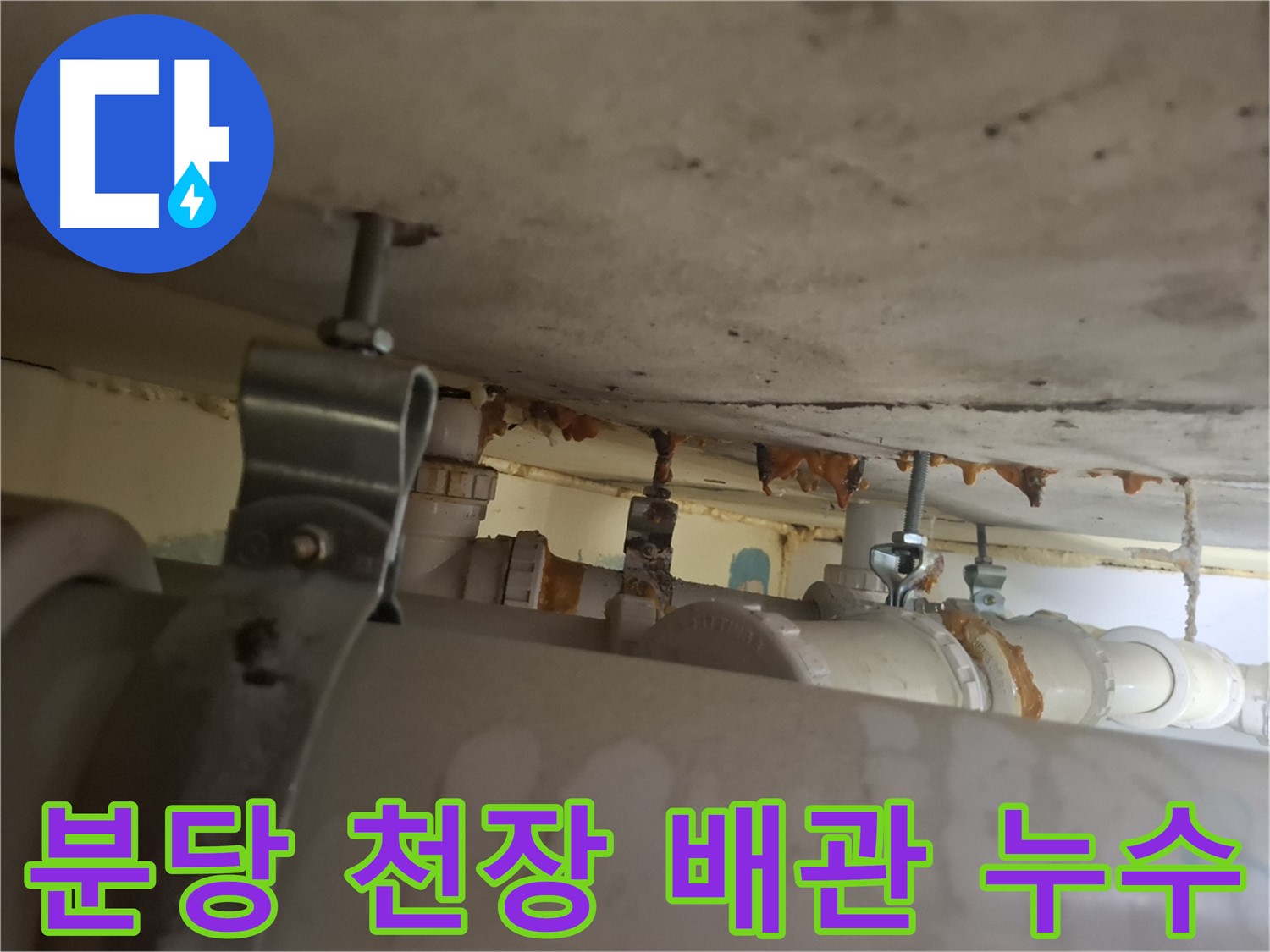 분당 봇들마을 아파트 - 천장 배관 연결부, 누수 꼼꼼하게 확인