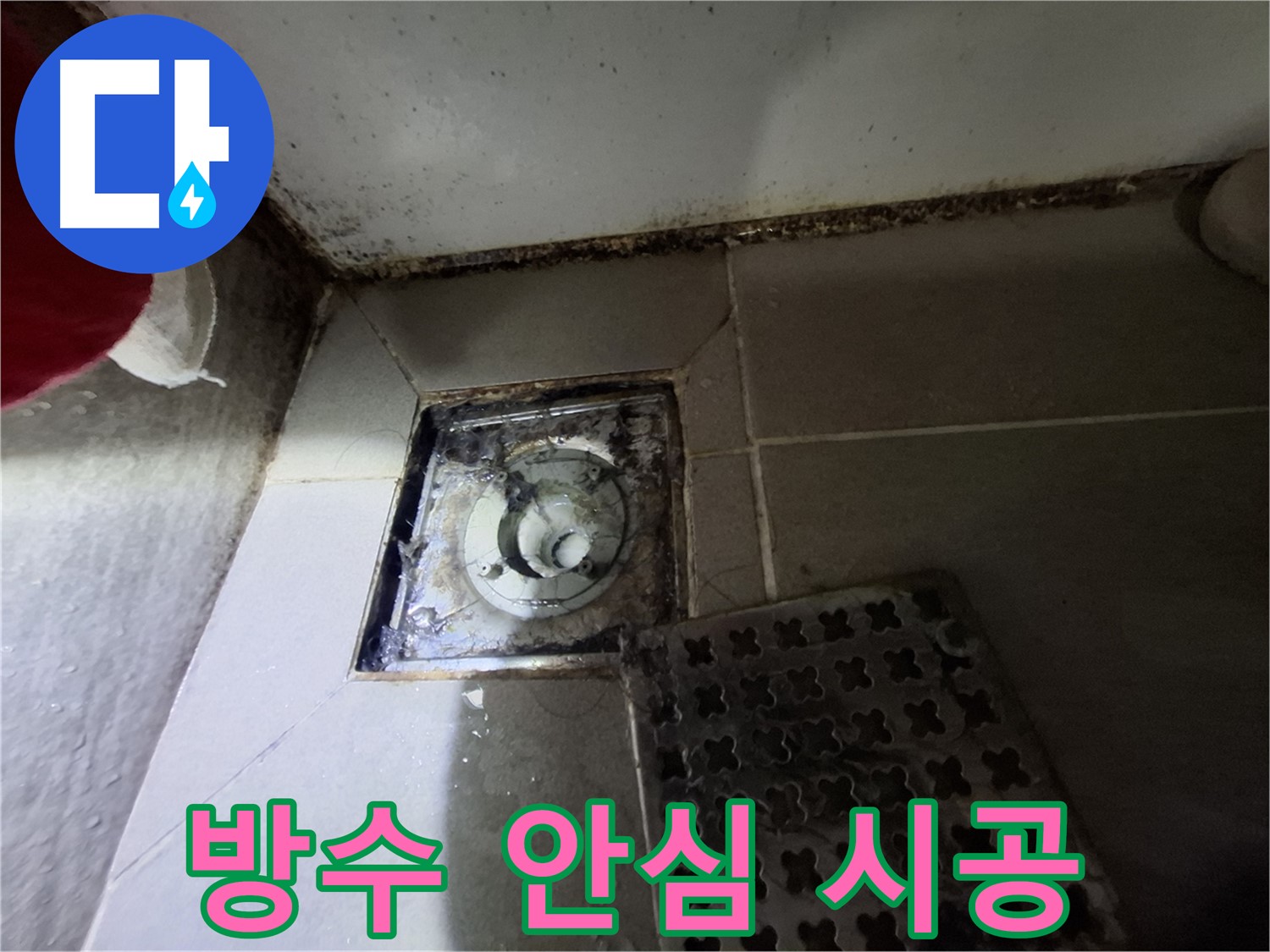 분당 봇들마을2단지 욕실 - 곰팡이 제거 후 완벽 방수, 안심 시공