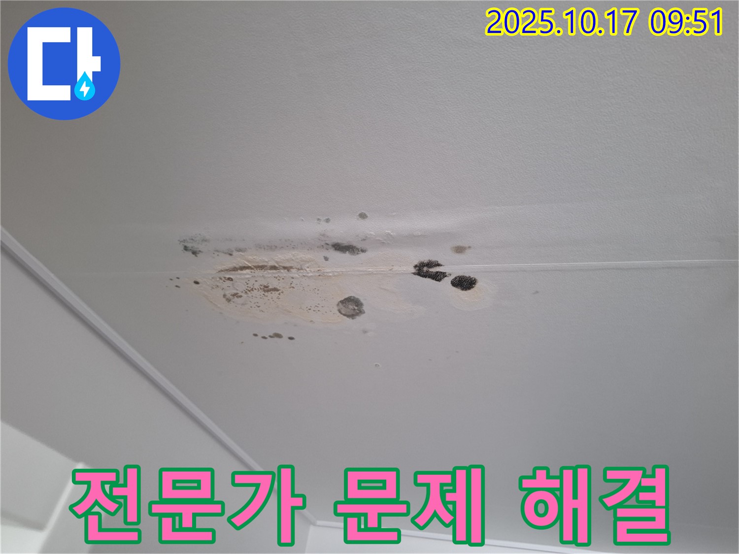 분당 삼평동 누수 - 곰팡이 뒤덮인 천장 - 누수 문제 해결 전문가