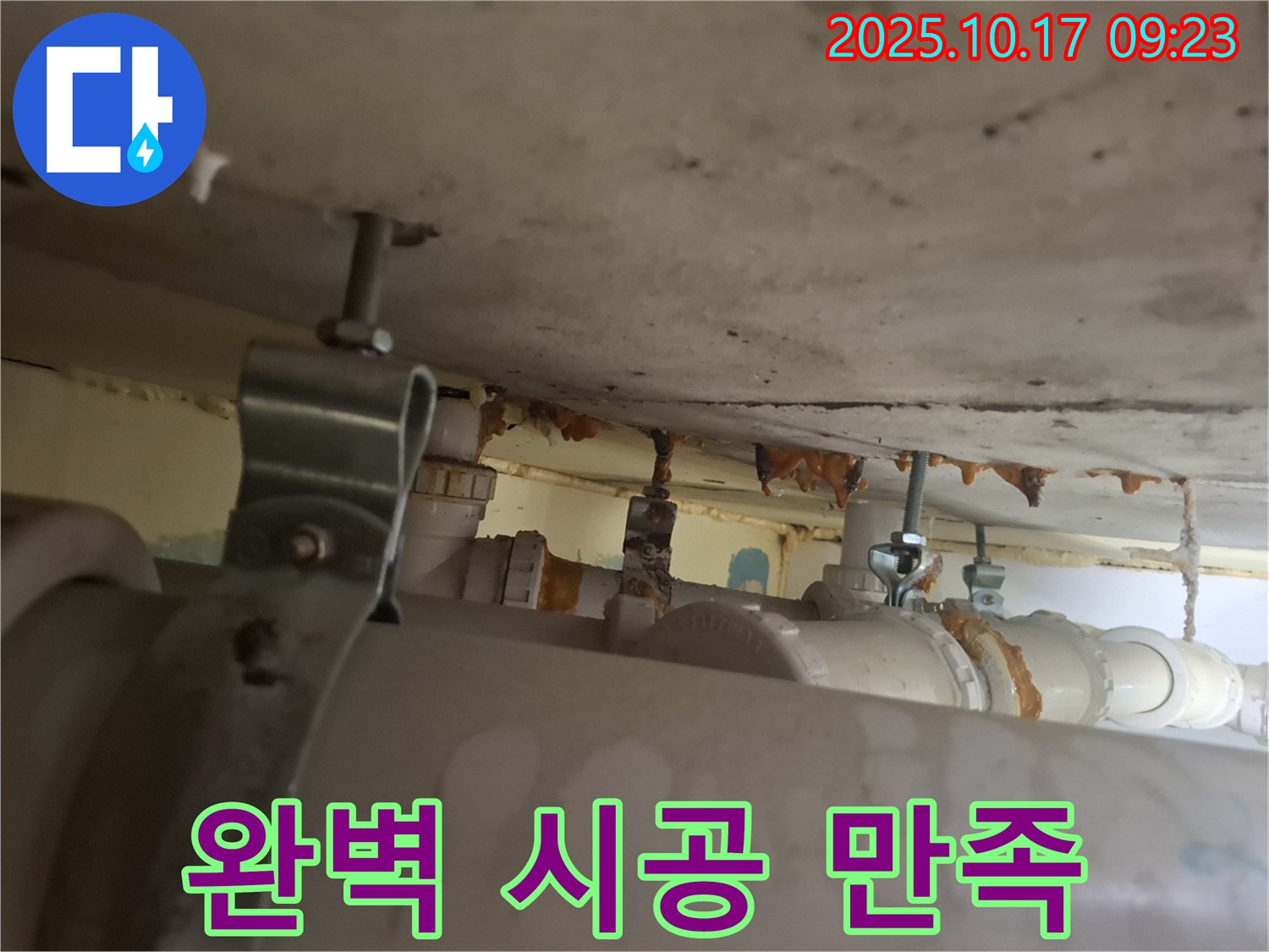 분당 삼평동 봇들마을 206동 아파트 - 완벽한 시공, 합리적인 가격으로 고객 만족