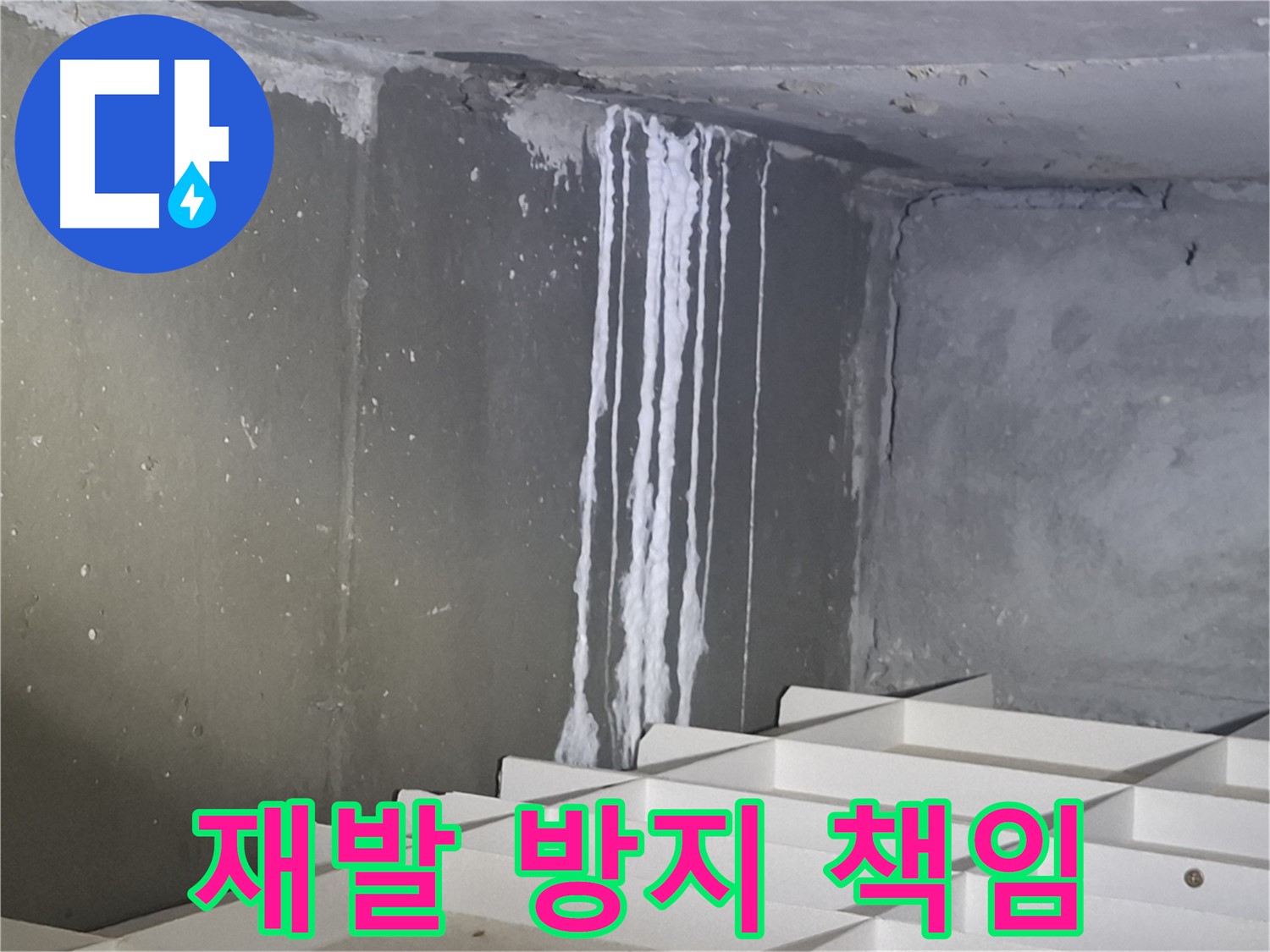 분당 삼평동 봇들마을 아파트 누수 - 재발 방지까지 확실하게 책임지는 누수 공사