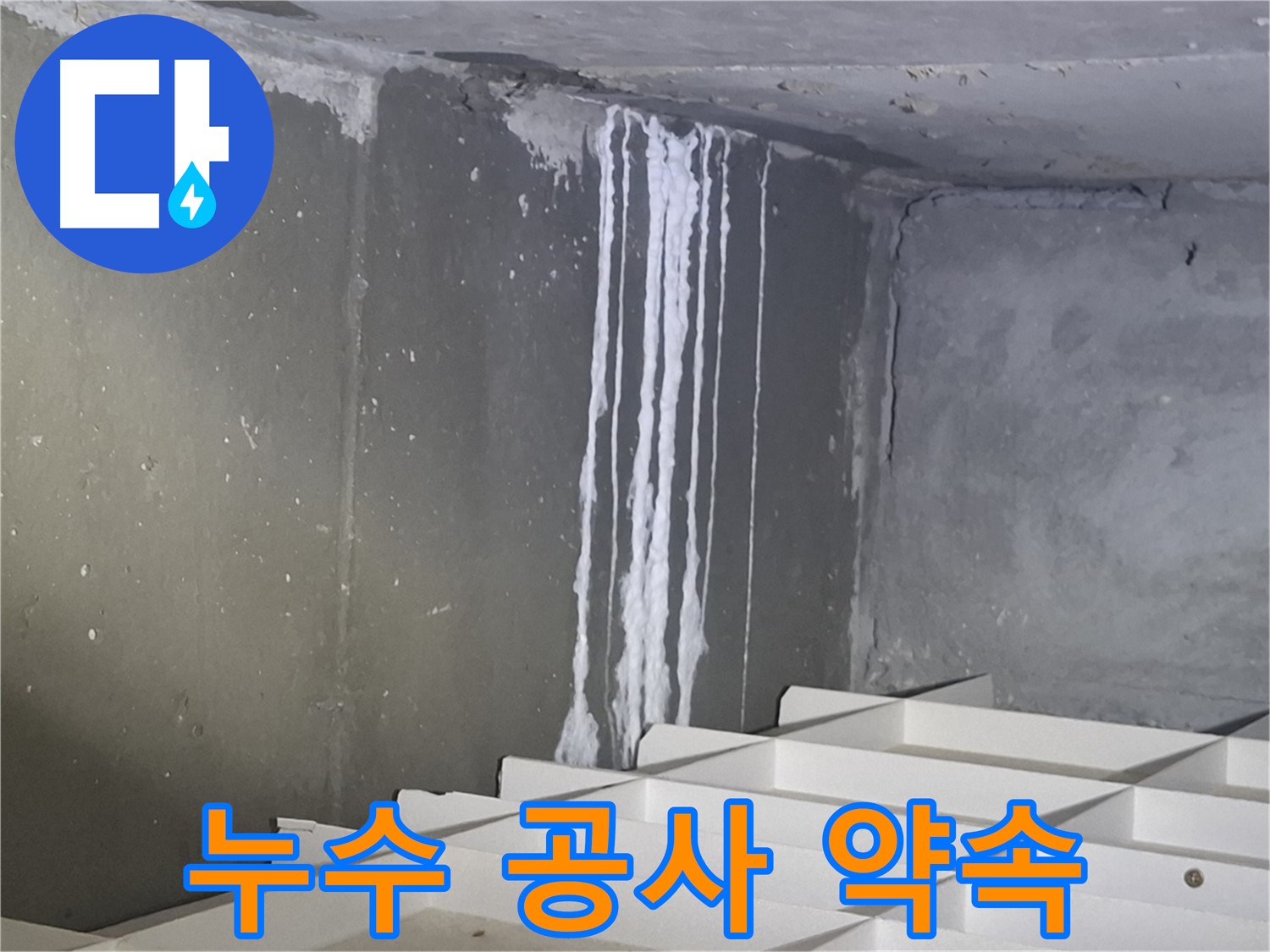 분당 삼평동 봇들마을 아파트 - 지하 석회 누수 공사, 완벽하게 해결 약속!