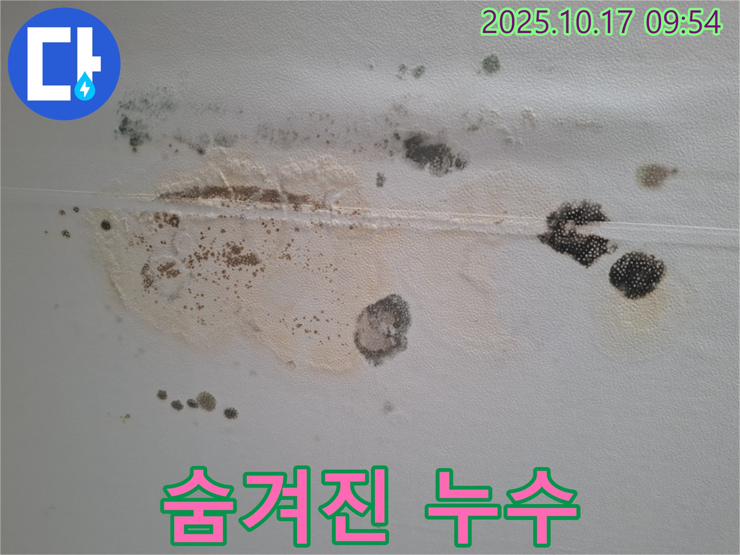 분당 삼평동 봇들마을 아파트 천장 누수탐지 - 곰팡이의 원인, 숨겨진 누수 지점을 찾아내는 과정