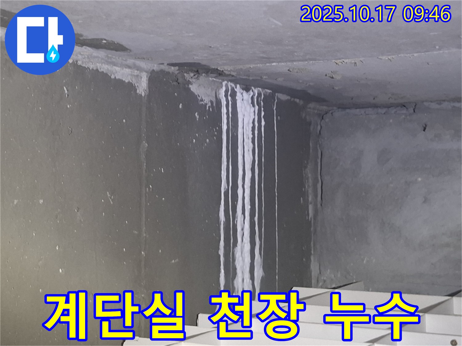 분당 삼평동 봇들마을2단지 아파트 계단실 천장 누수 - 천장에서 흘러내린 석회수가 누수의 심각성을 보여줍니다.