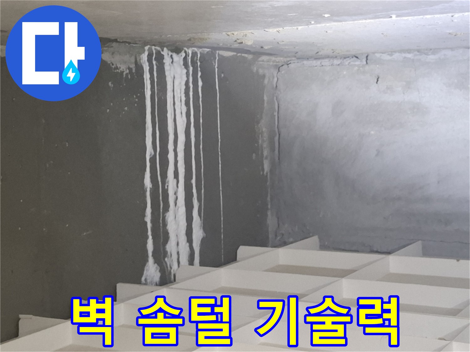 분당 삼평동 아파트 누수 - 콘크리트 벽에 생긴 솜털 해결, 최고의 기술력으로 완벽하게 해결합니다