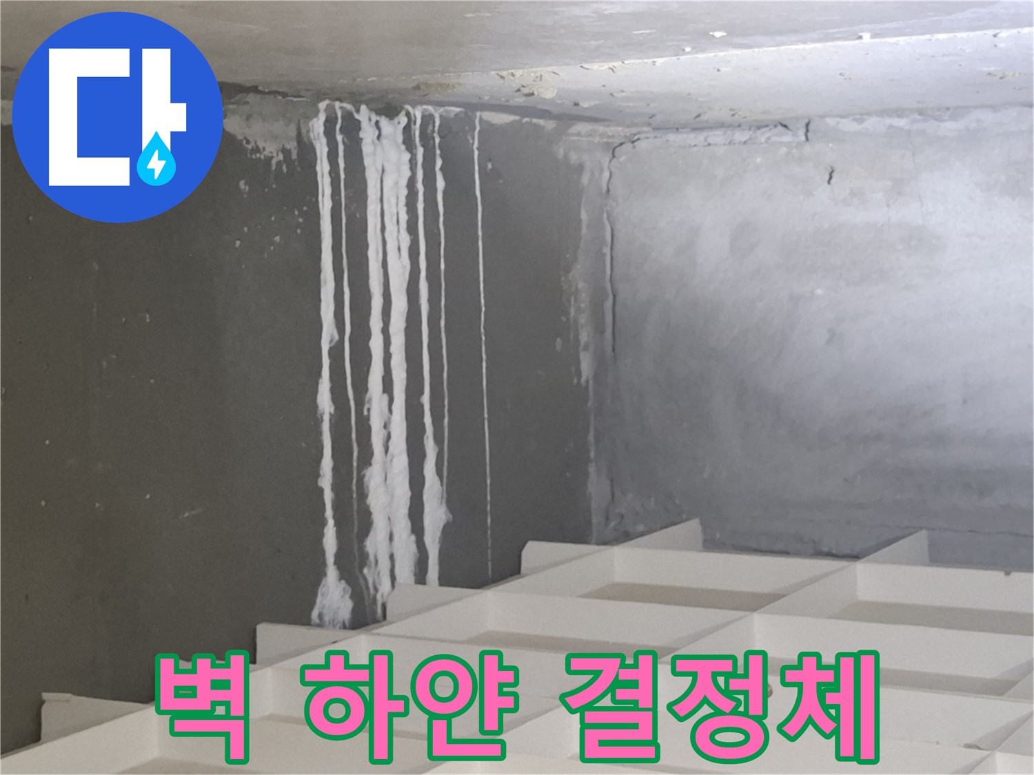 분당 삼평동 아파트 벽 누수 - 하얀 실처럼 맺힌 결정체, 누수와 관련된 석회 성분일 가능성 진단