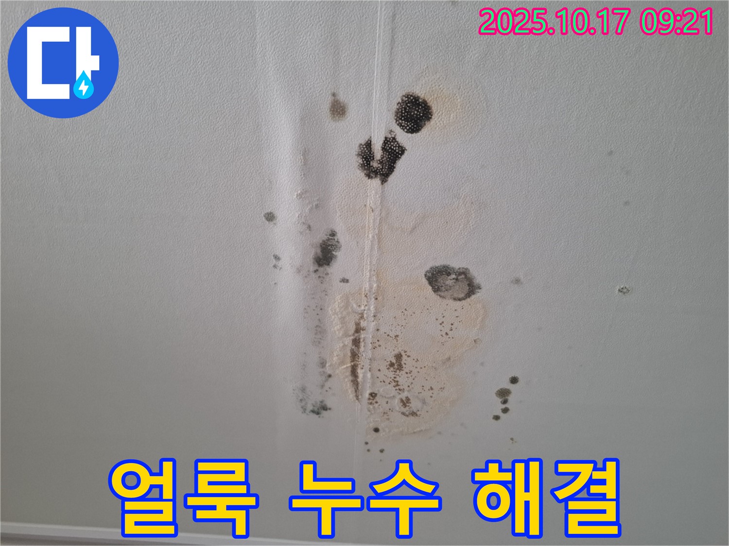 분당 아파트 누수 - 얼룩 문제 해결 및 누수 재발 방지 시공 사례