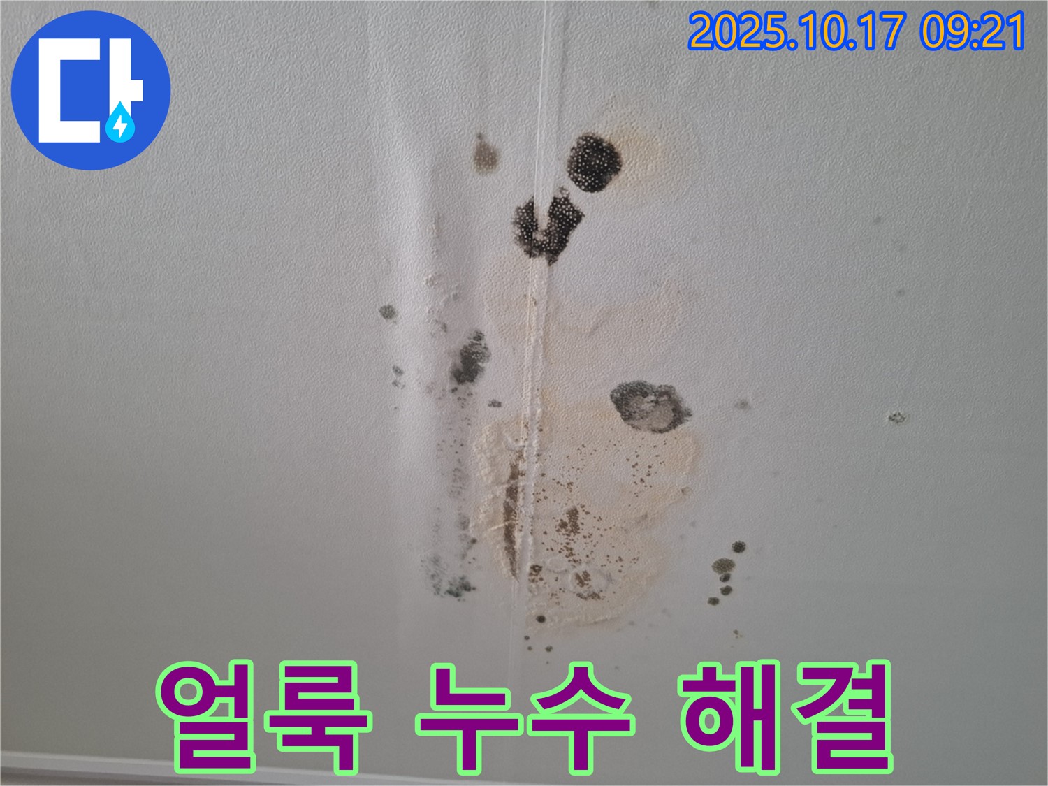 분당 아파트 누수 - 얼룩 문제 해결 및 누수 재발 방지 시공 사례