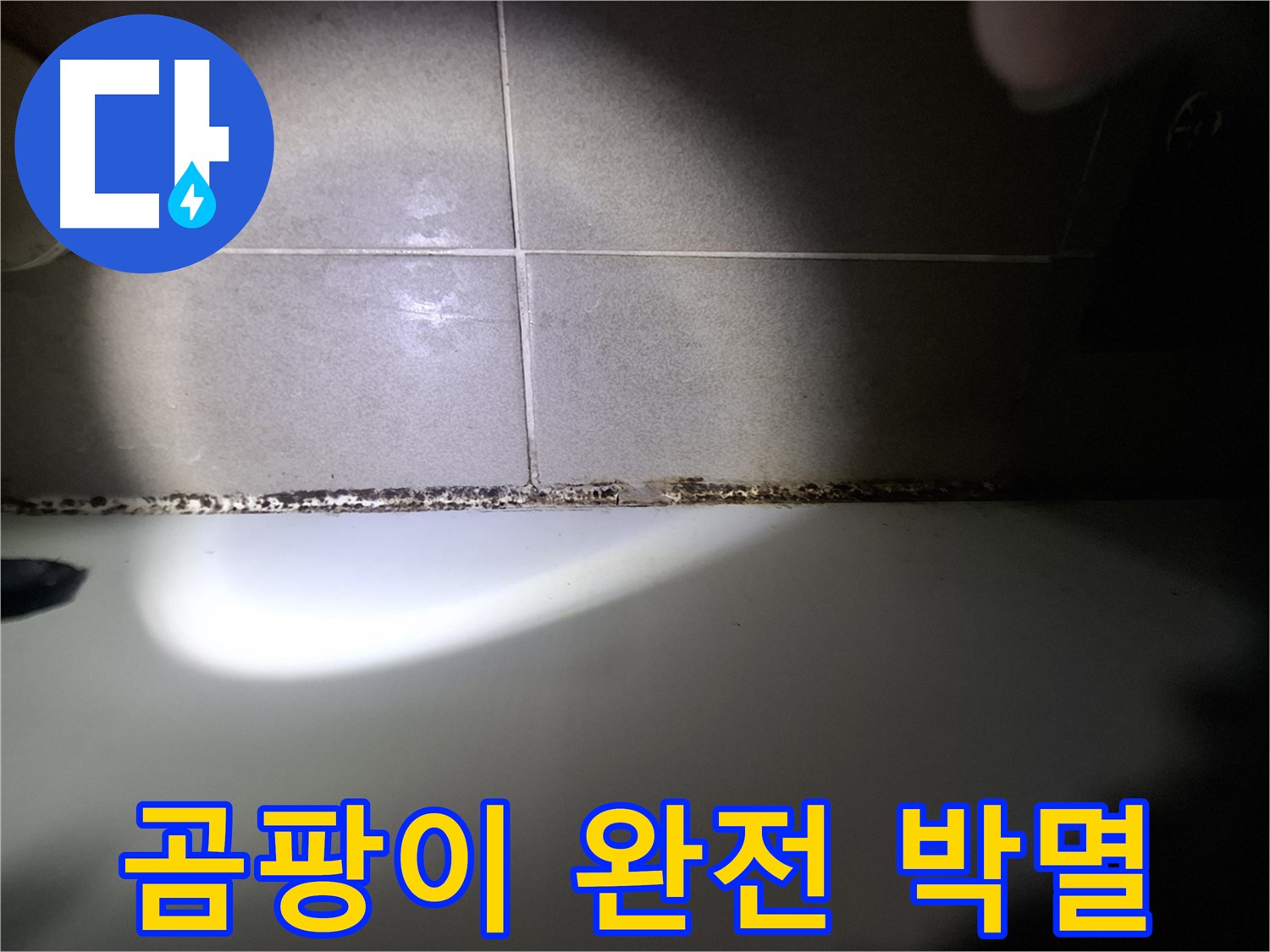 분당 욕조 곰팡이 완벽 해결 - 곰팡이 완전 박멸을 위한 최첨단 장비 시공