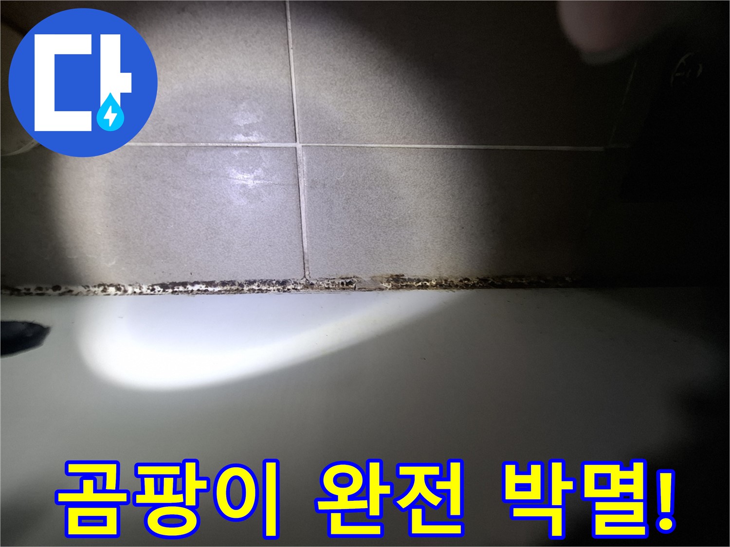 분당 욕조 곰팡이 완벽 해결 - 곰팡이 완전 박멸을 위한 최첨단 장비 시공