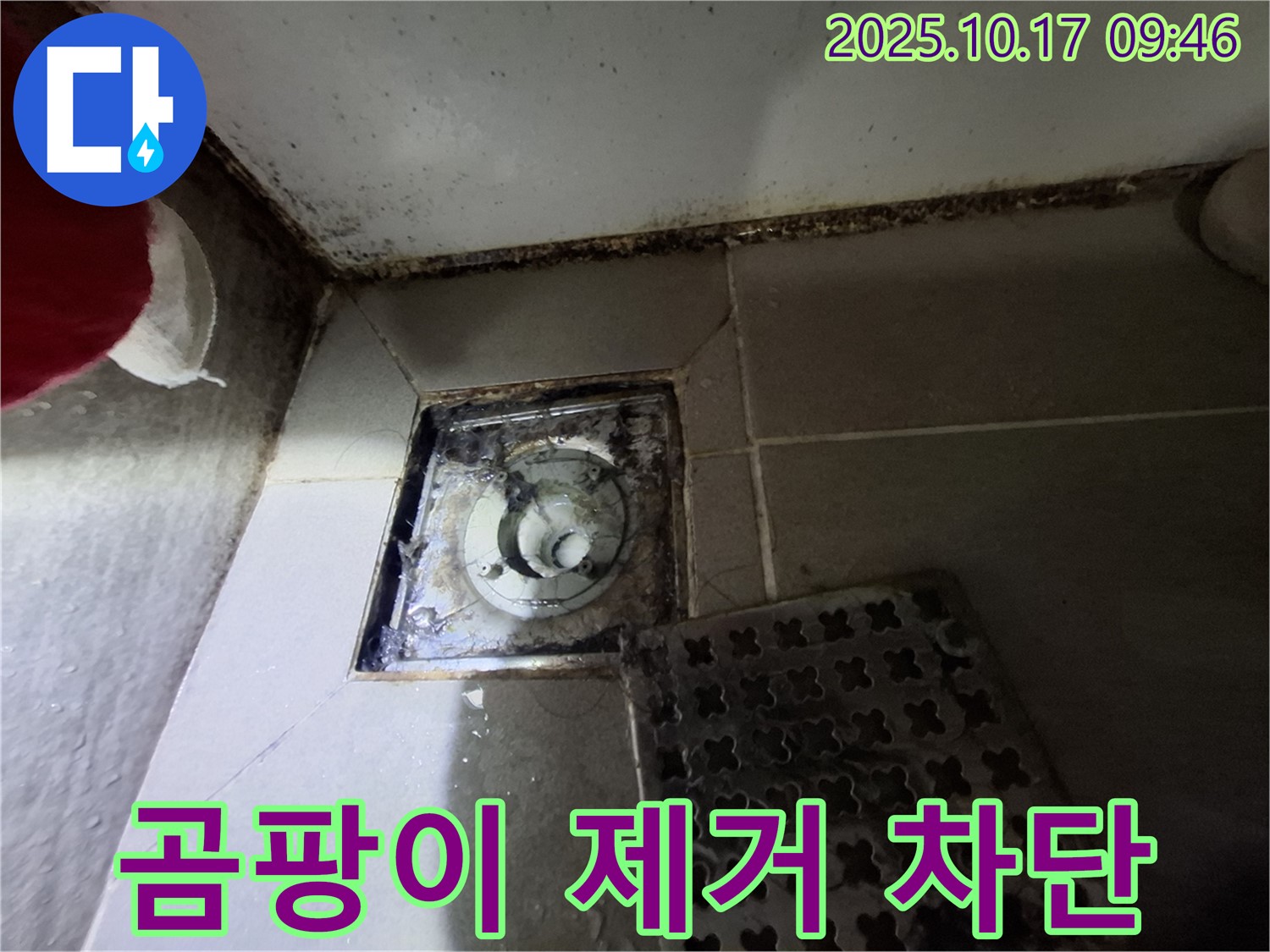 분당 판교 봇들마을 아파트 - 욕실 곰팡이 제거 - 누수 완벽 차단 - 쾌적한 욕실을 만들어 드립니다.