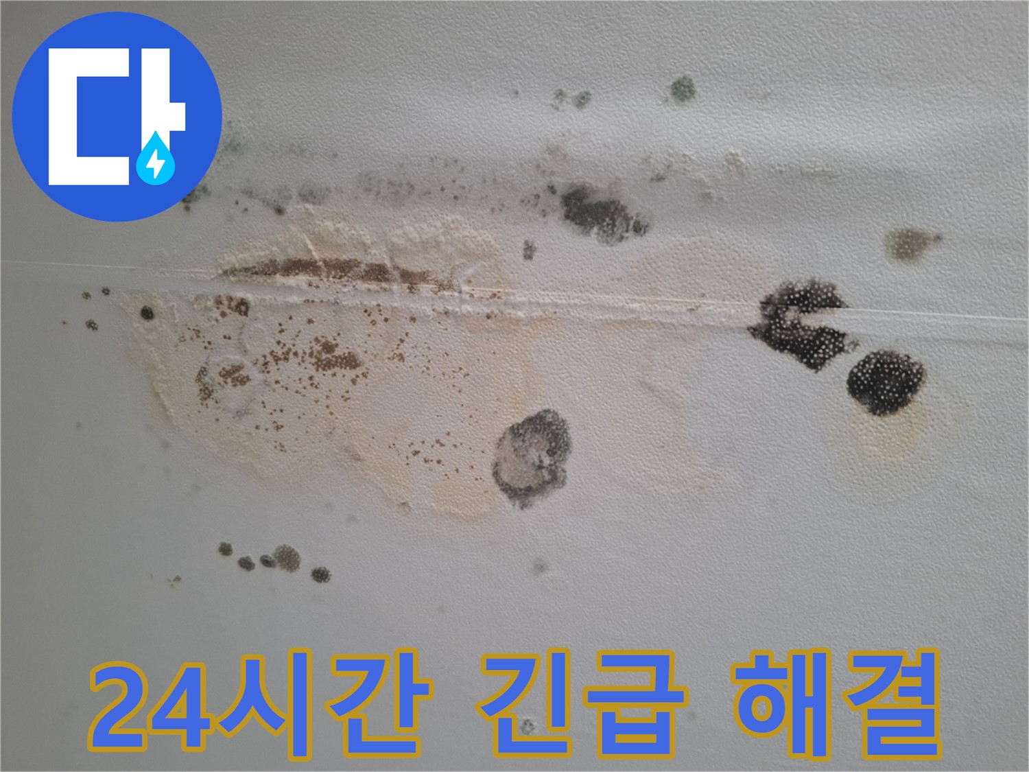 분당구 삼평동 누수 - 곰팡이 핀 천장, 24시간 긴급 방문으로 완벽하게 해결