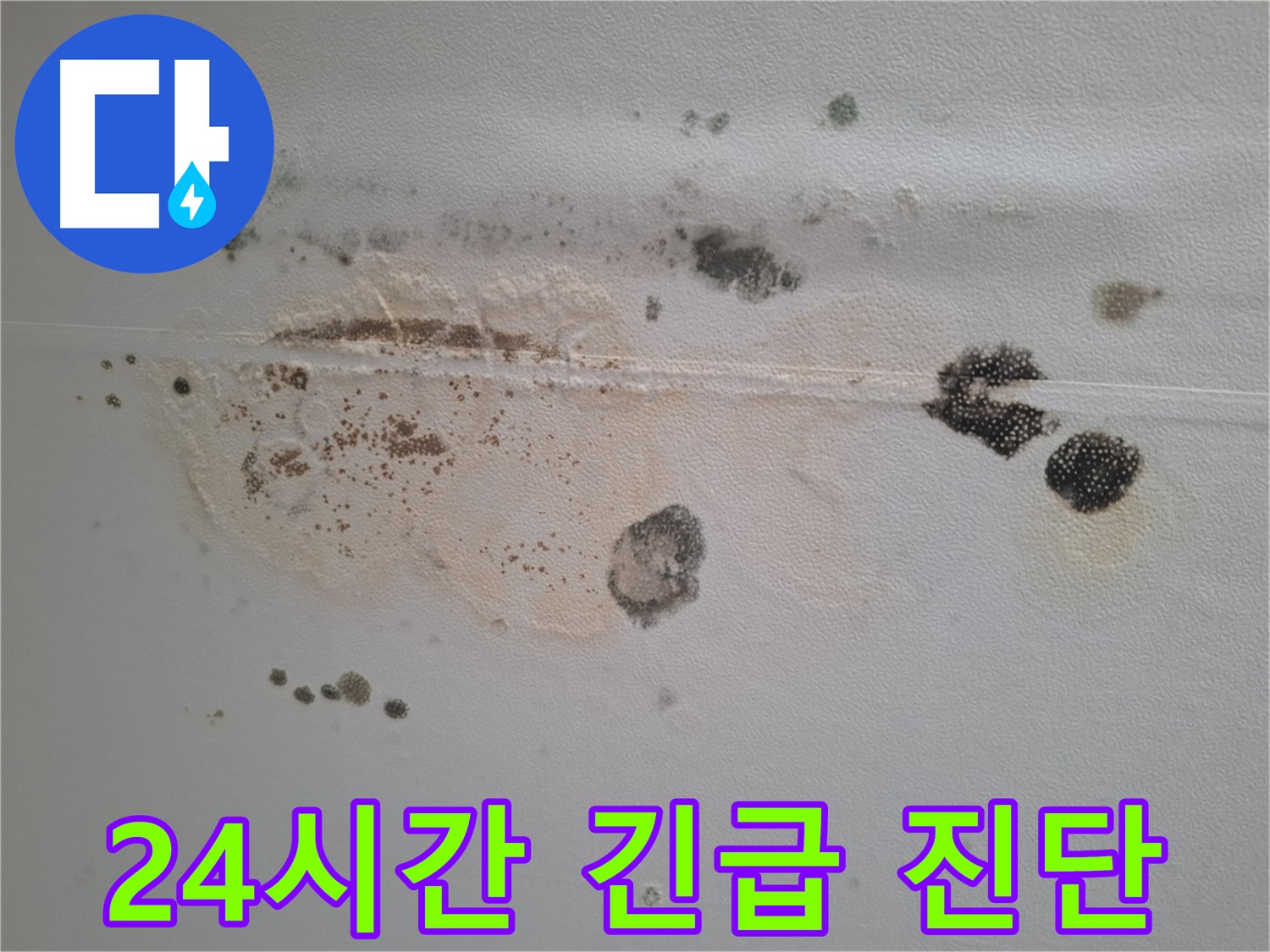 분당구 삼평동 누수 - 곰팡이 핀 천장, 24시간 긴급 진단과 빠른 해결