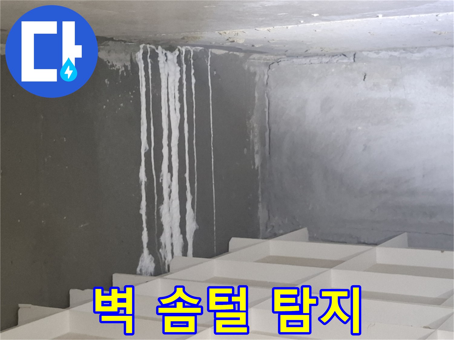 삼평동 아파트 누수탐지 - 콘크리트 벽에 생긴 솜털, 숨겨진 누수 원인 꼼꼼히 파헤치기