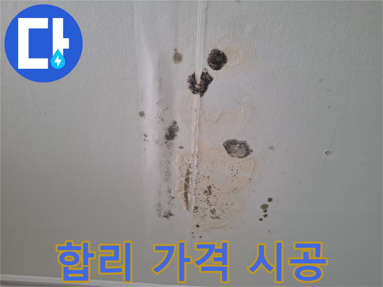 성남 누수 - 합리적인 가격으로 천장 곰팡이 완벽 시공