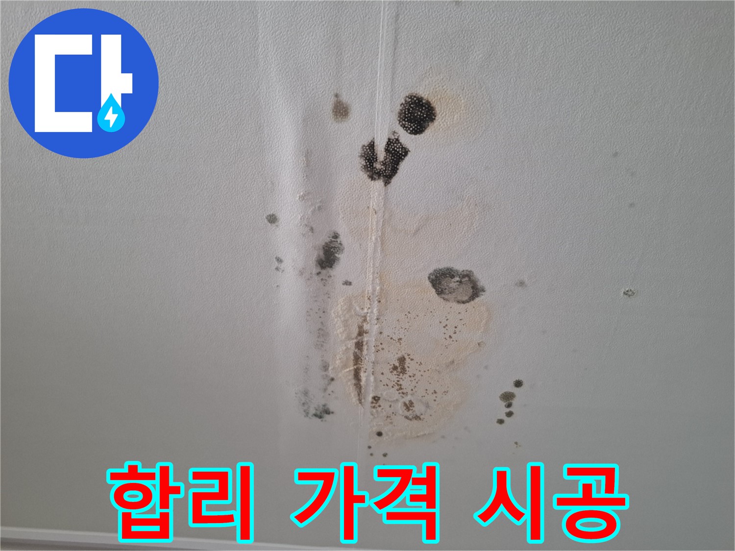성남 누수 - 합리적인 가격으로 천장 곰팡이 완벽 시공