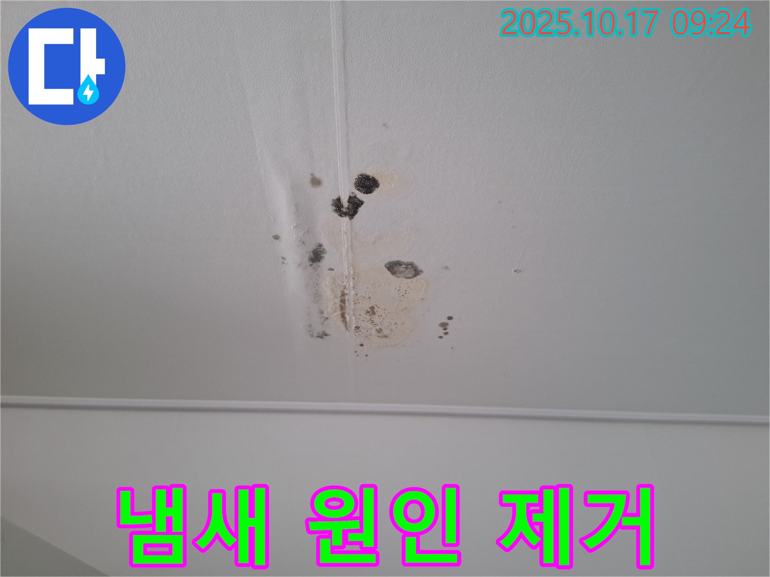 성남 봇들마을2단지 아파트 천장 곰팡이 - 곰팡이 냄새 원인과 효과적인 제거 방법은?