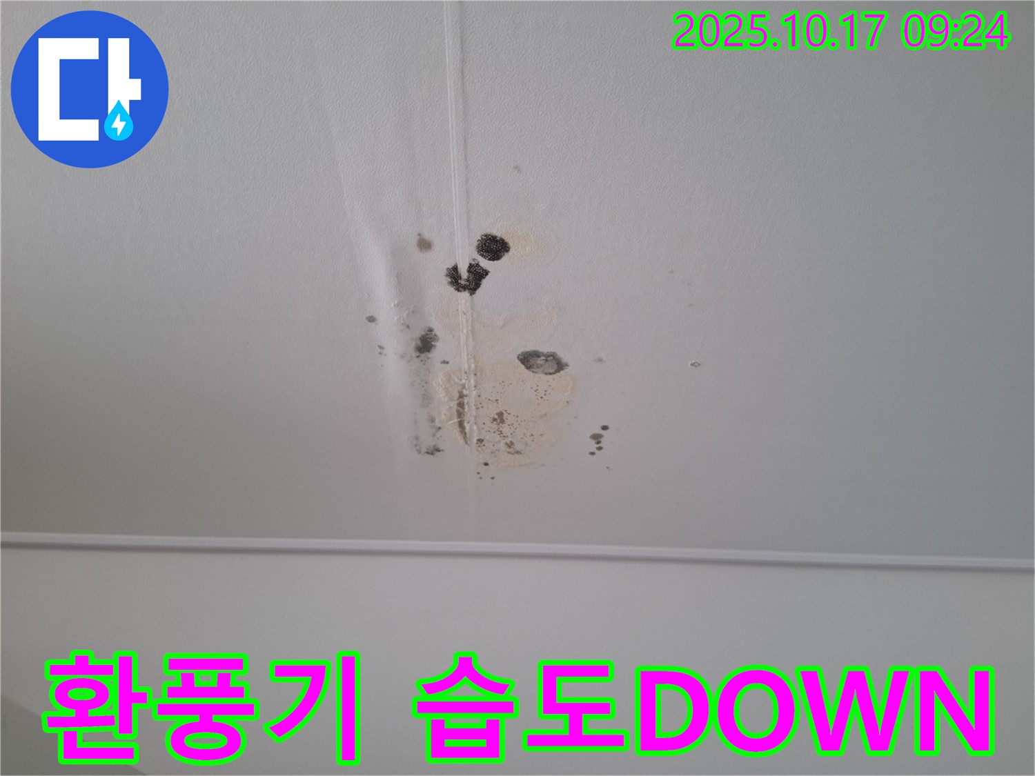 성남 봇들마을2단지 아파트 천장 누수 - 환풍기 설치로 습도 DOWN