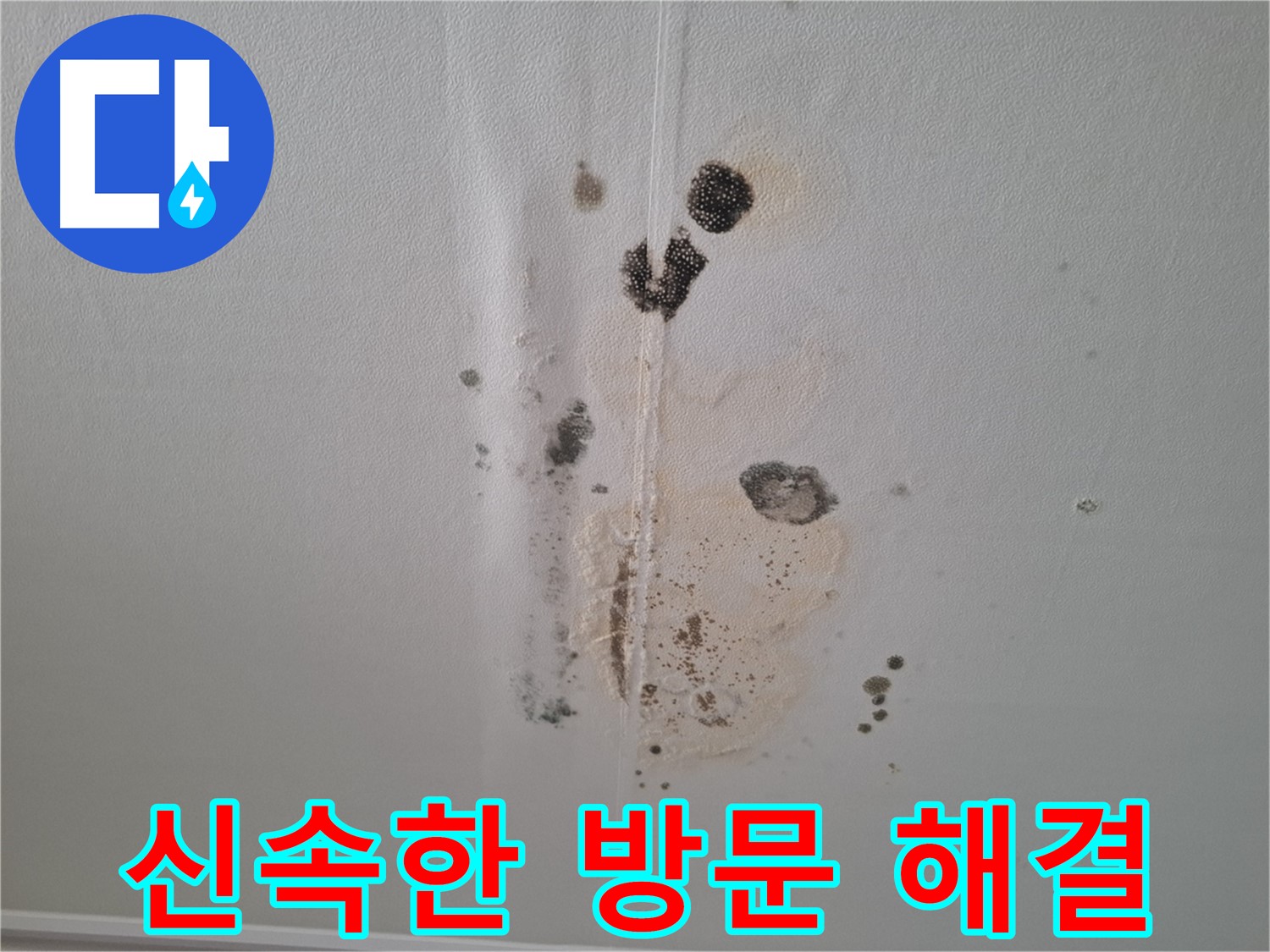 성남 분당 누수 - 곰팡이 문제 발생 시 신속한 방문으로 해결