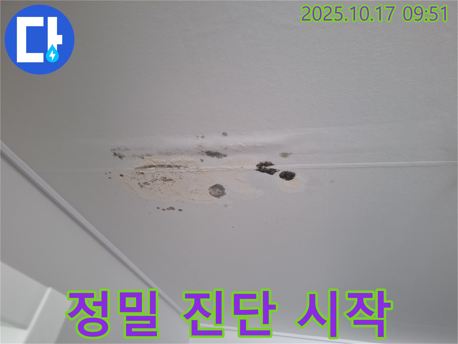 성남 분당 누수 - 곰팡이 핀 천장 - 누수 해결 첫 단계 - 정밀 진단 시작