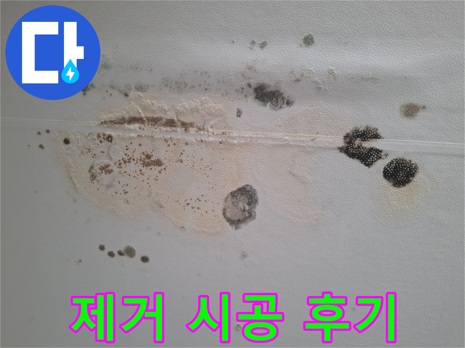 성남 분당 누수 - 곰팡이와 누수 흔적 완벽 제거 시공 후기