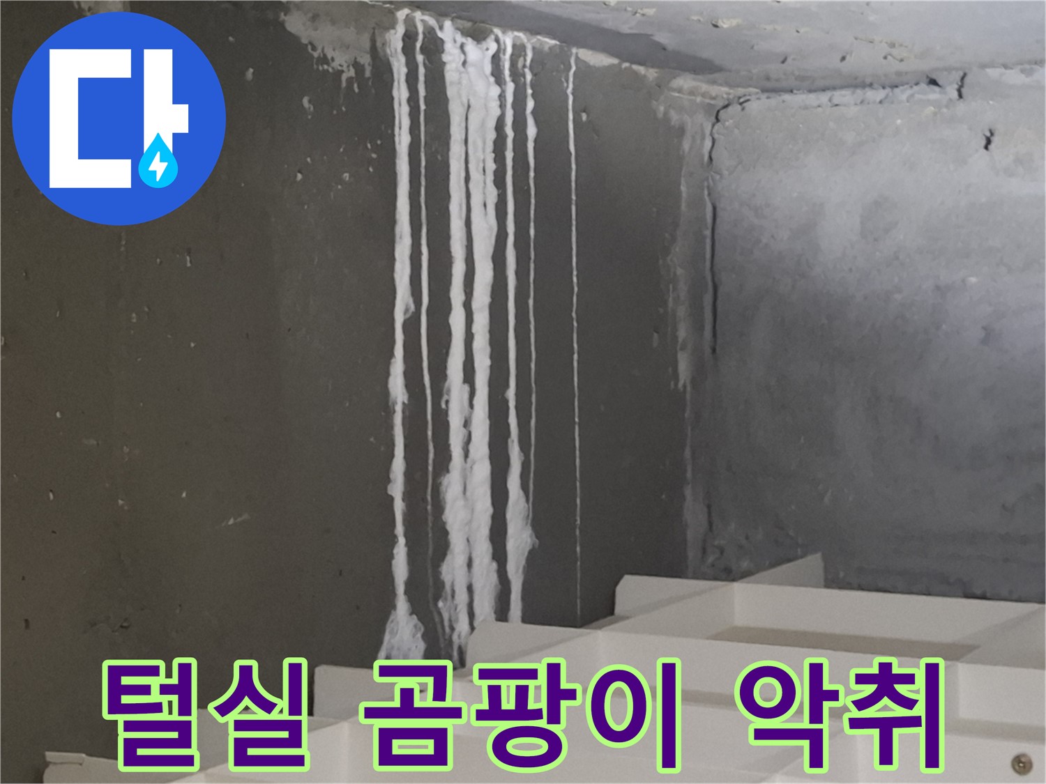 성남 분당 봇들마을 아파트 누수 - 계단 '하얀 털실' 누수는 곰팡이와 악취 '콤보'를 유발하고 건강에 '적색경보'를 울립니다.