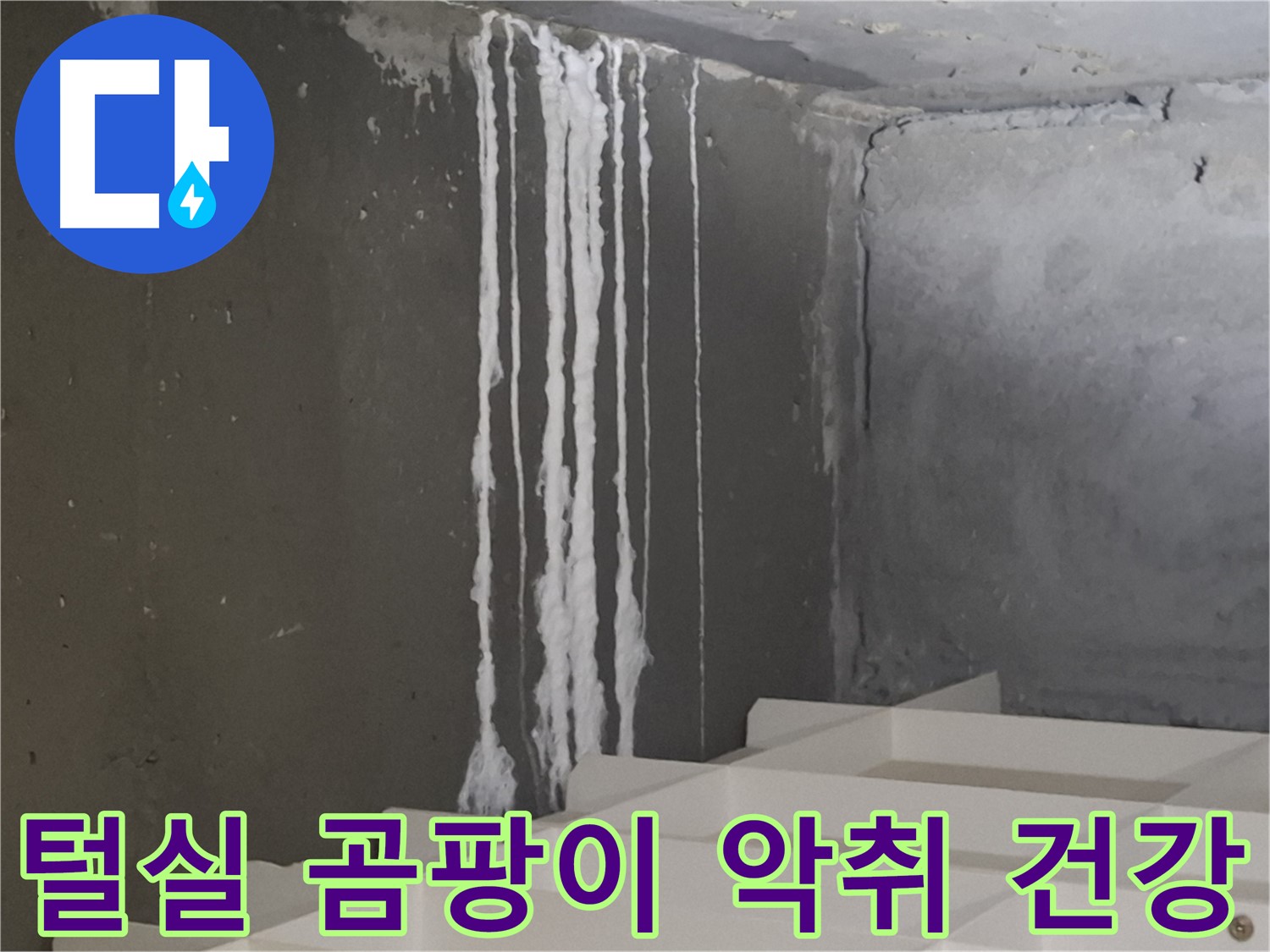 성남 분당 봇들마을 아파트 누수 - 계단 '하얀 털실' 누수는 곰팡이와 악취를 유발하고 건강을 위협합니다.