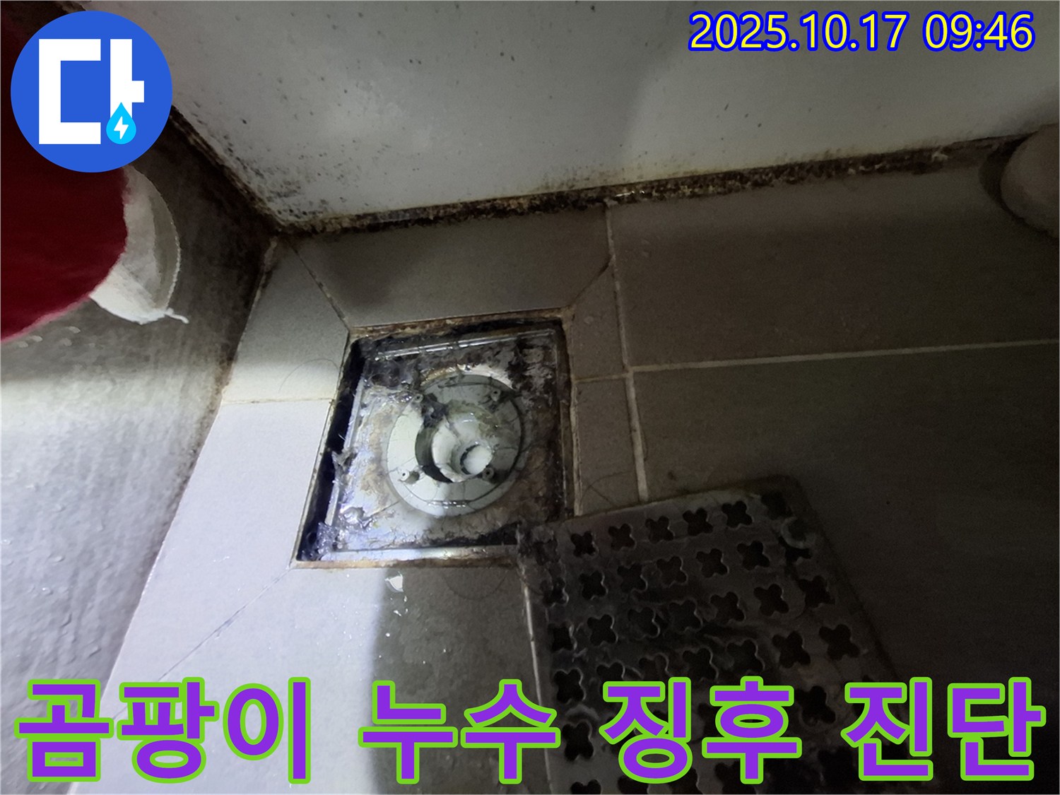 성남 분당 봇들마을 아파트 욕실 배수구 - 곰팡이와 누수 초기 징후 발견 - 정밀 검사가 필요합니다 - 누수 진단 전문가.