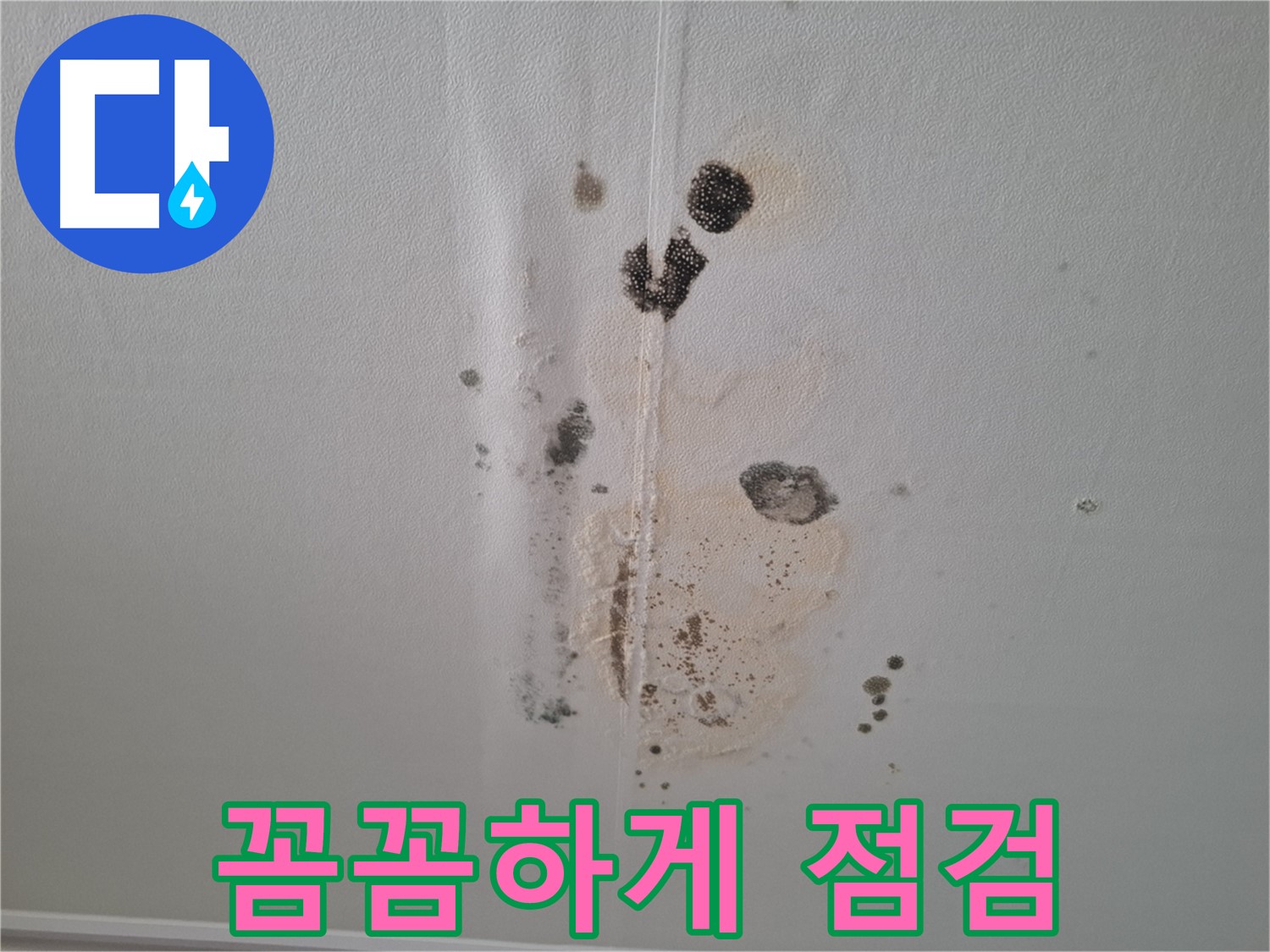 성남 분당 봇들마을2단지 누수 - 누수 점검, 꼼꼼하게!