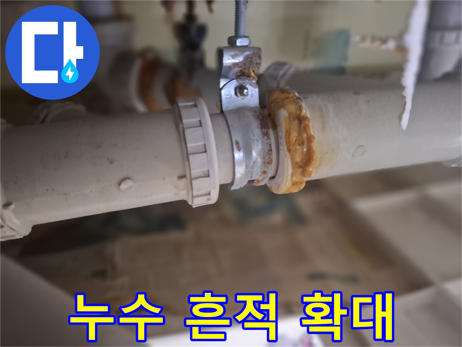 성남 분당 봇들마을2단지 누수 현장 - 누수 흔적을 확대한 사진입니다. 정확한 원인 파악을 위해 꼼꼼히 살펴보고 있습니다.