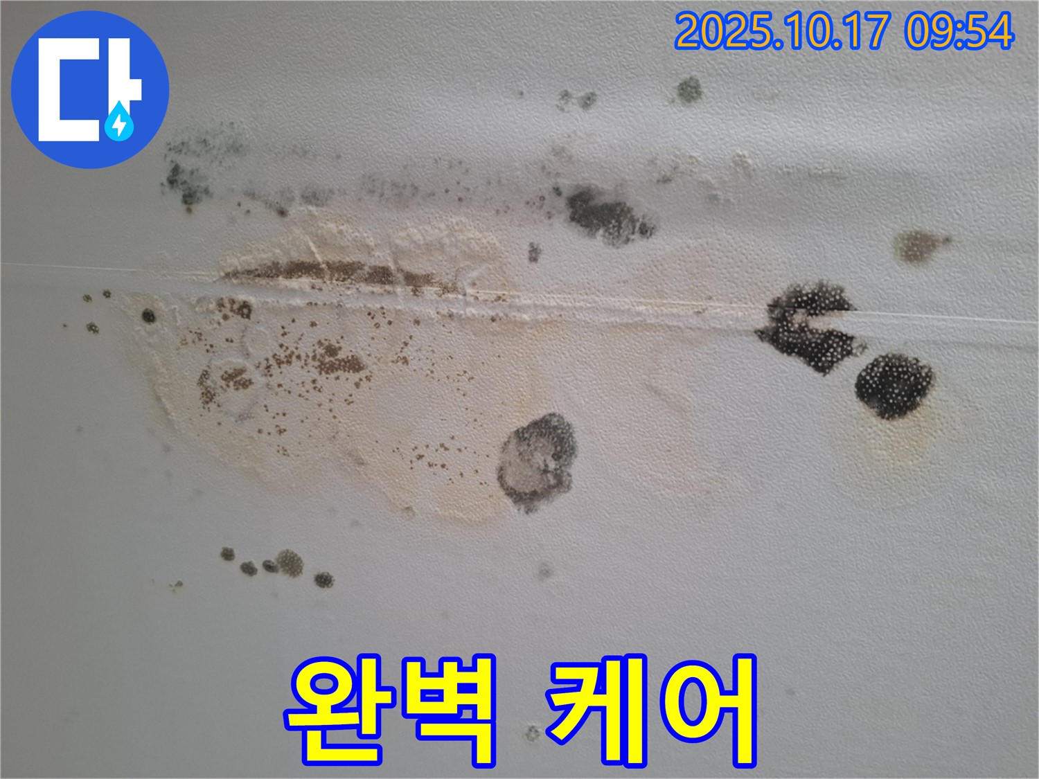 성남 분당 삼평동 봇들마을2단지 아파트 천장 누수 - 곰팡이 완벽 제거 및 누수 해결, 쾌적한 보금자리로