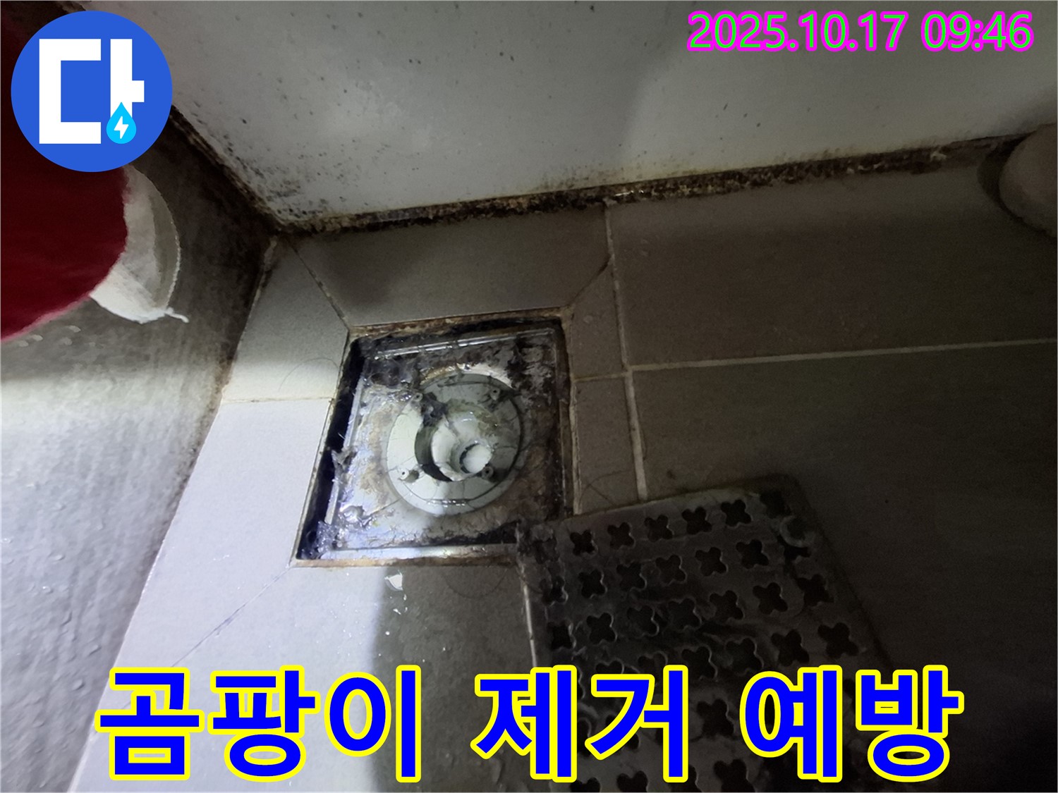 성남 판교 봇들마을 아파트 욕실 배수구 곰팡이 제거 - 누수 예방 맞춤 솔루션 - 쾌적한 욕실 환경을 위한 최고의 선택.