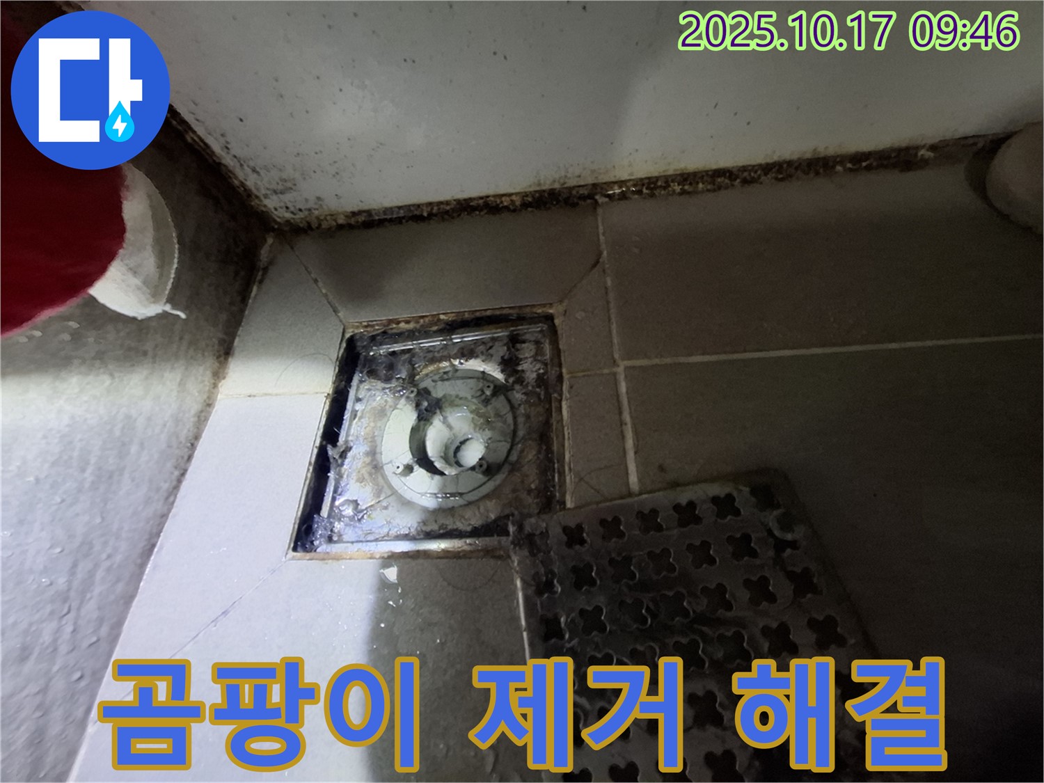 성남 판교 봇들마을 아파트 - 욕실 배수구 곰팡이 제거 - 누수 완벽 차단 - 확실한 책임 시공으로 쾌적한 욕실 환경을 만들어 드립니다.
