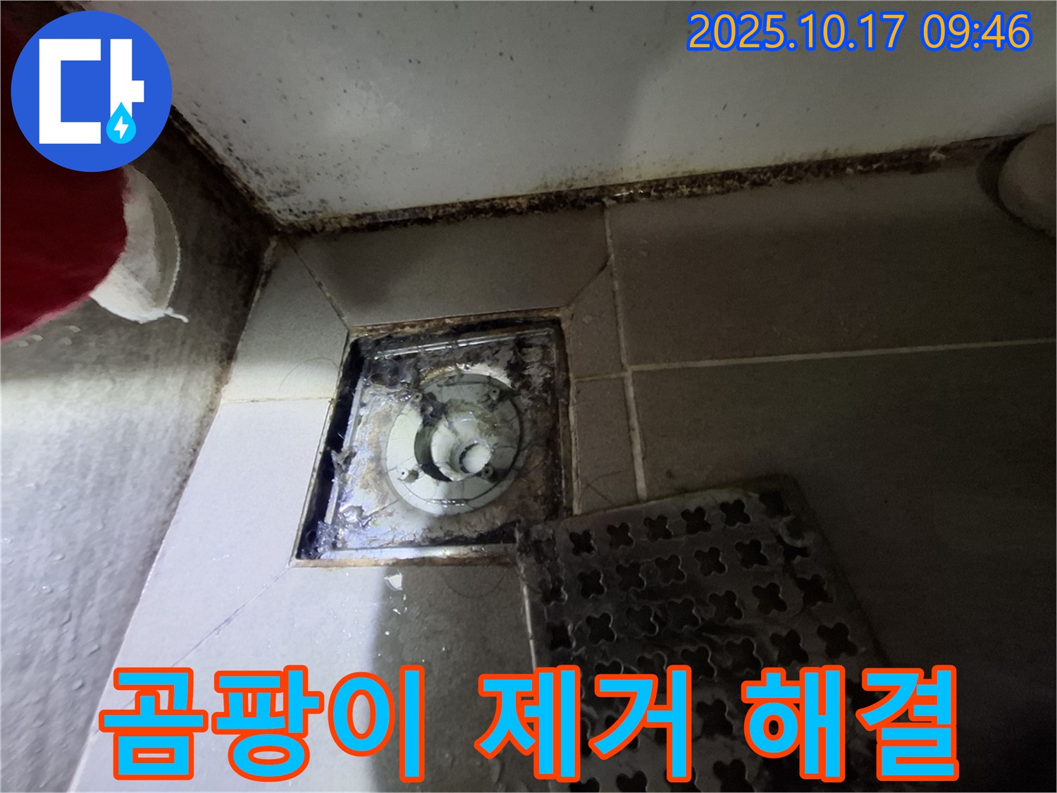 성남 판교 봇들마을2단지 아파트 - 욕실 배수구 곰팡이 제거 - 누수 신속 해결 - 쾌적한 욕실 환경을 되찾아 드립니다.