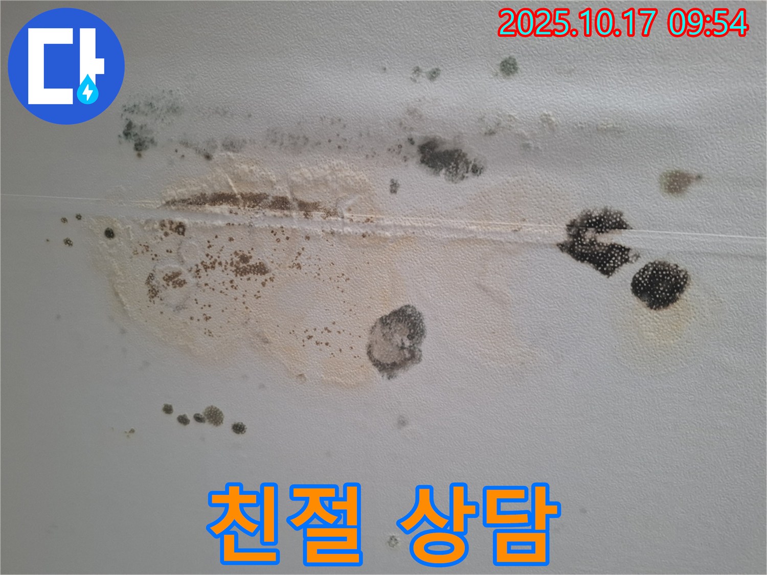성남시 분당구 봇들마을2단지 아파트 천장 누수 - 곰팡이 문제에 대한 속 시원하고 친절한 상담