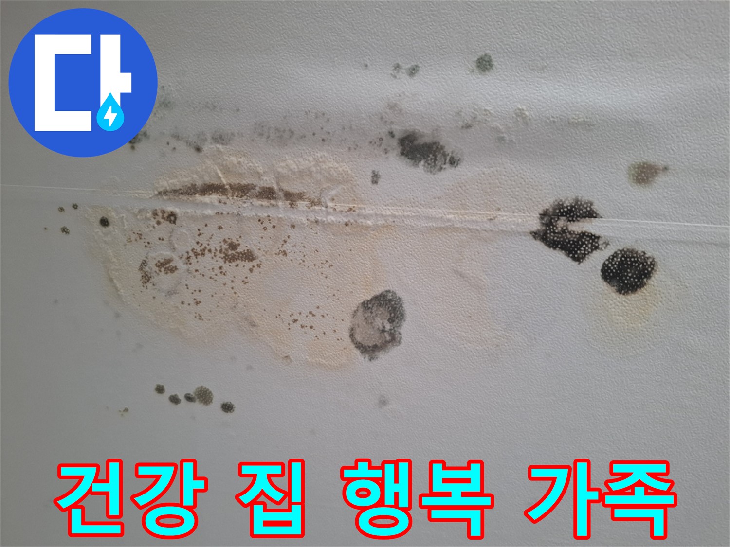 성남시 분당구 삼평동 누수 - 곰팡이 핀 천장, 건강한 집에서 행복한 가족을 만들어가세요