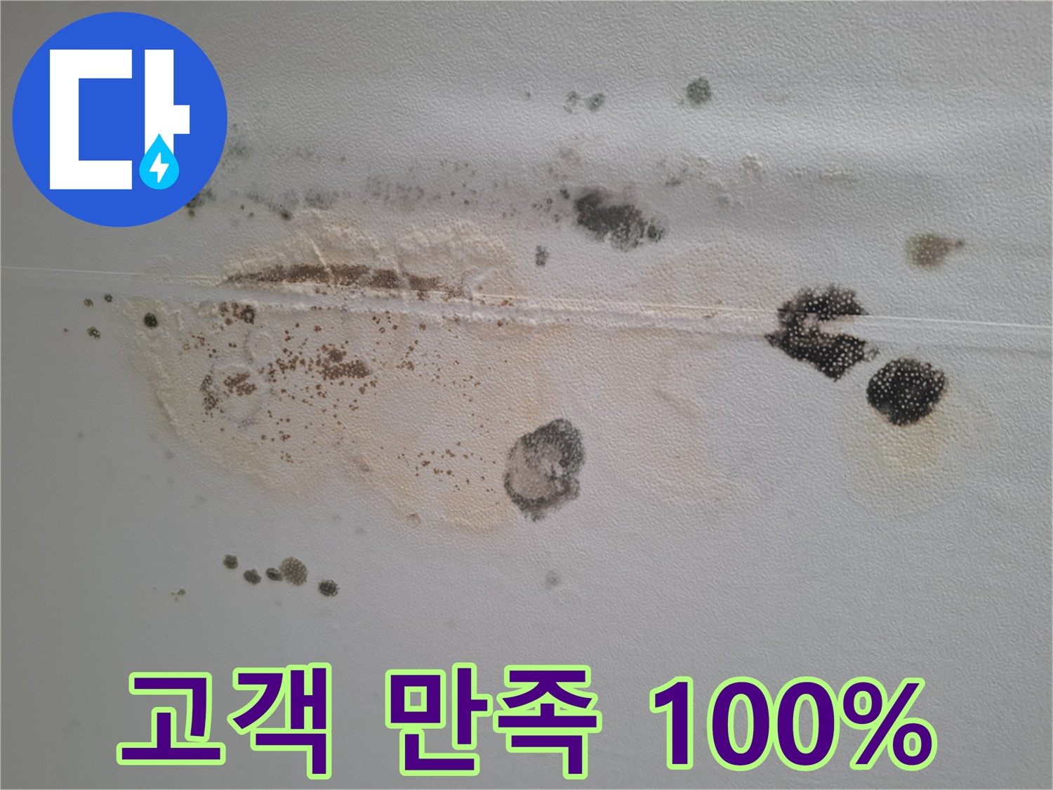 성남시 분당구 삼평동 누수 - 곰팡이 핀 천장, 고객 만족 100%를 위해 최선을 다하겠습니다