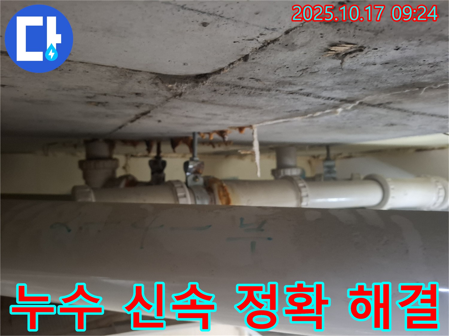 성남시 분당구 삼평동 봇들마을 아파트 - 천장 배관 누수, 신속하고 정확한 해결 약속