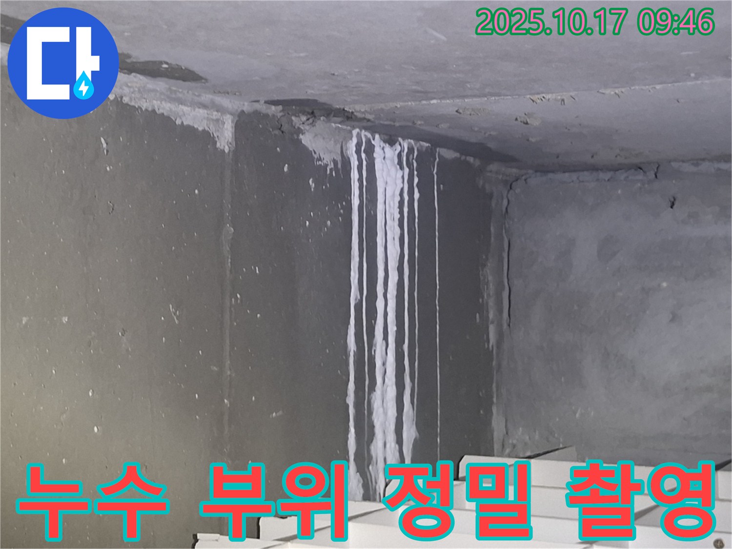 성남시 분당구 삼평동 봇들마을2단지 아파트 계단실 벽면에서 누수 부위를 정밀 촬영하고 기록하고 있습니다 - 정확한 데이터 확보는 문제 해결의 핵심입니다.