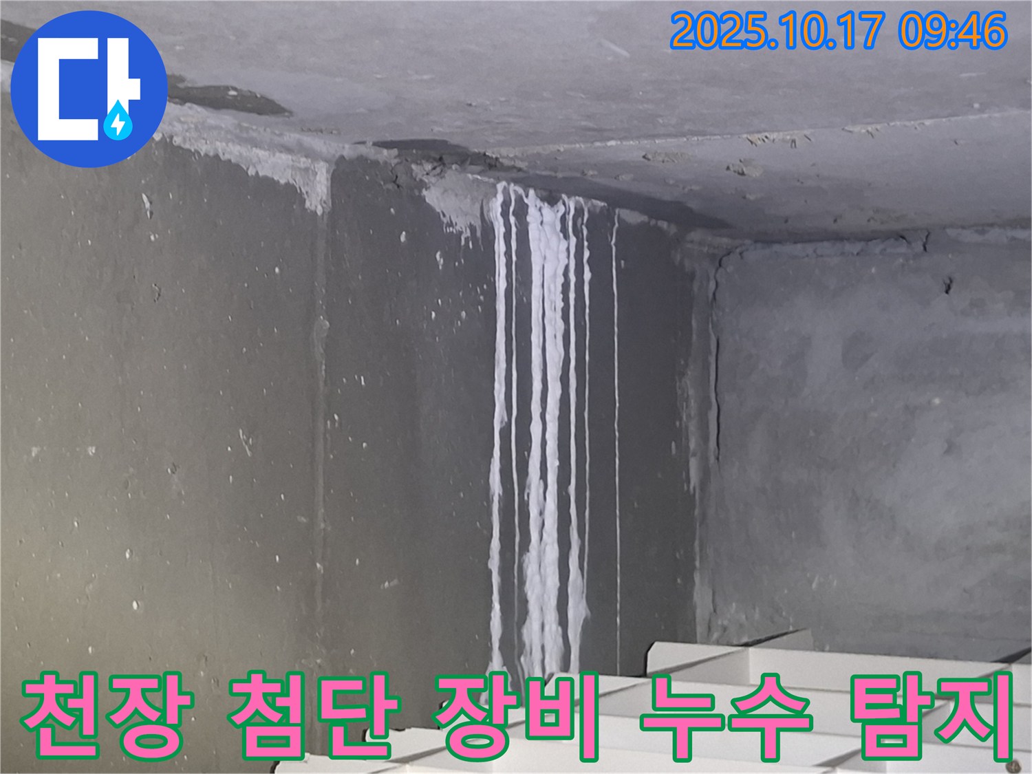 성남시 분당구 삼평동 봇들마을2단지 아파트 계단실 천장 - 누수 탐지를 위해 첨단 장비를 활용하고 있습니다.