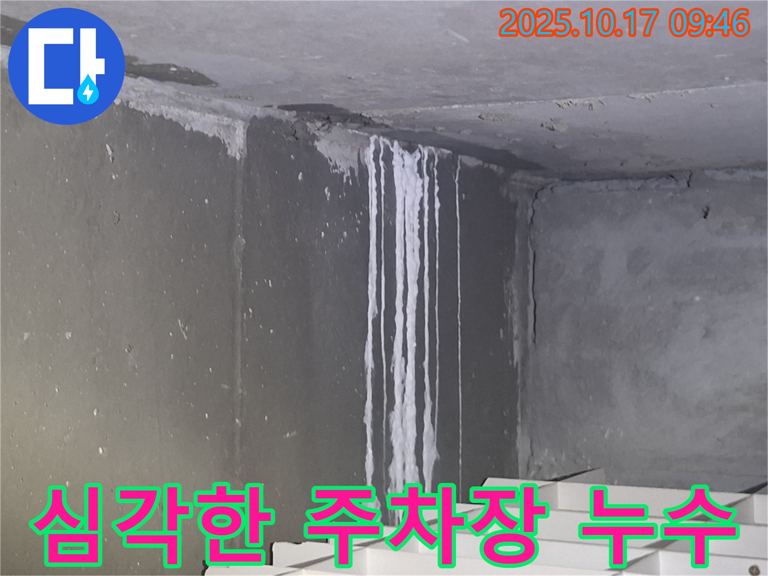 성남시 분당구 삼평동 봇들마을2단지 아파트에서 발견된 심각한 지하주차장 누수 - 석회수가 흘러내려 누수의 심각한 상태를 보여줍니다.