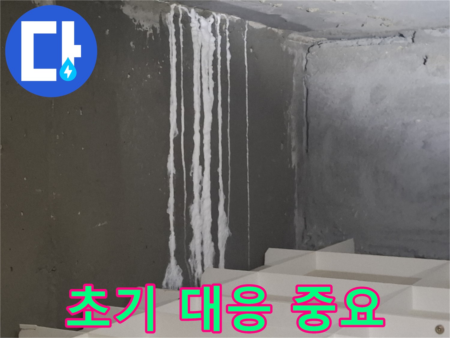 성남시 분당구 삼평동 아파트 누수 - 계단 석회수 누수 발생! 초기 대응의 중요성을 강조하는 이미지.