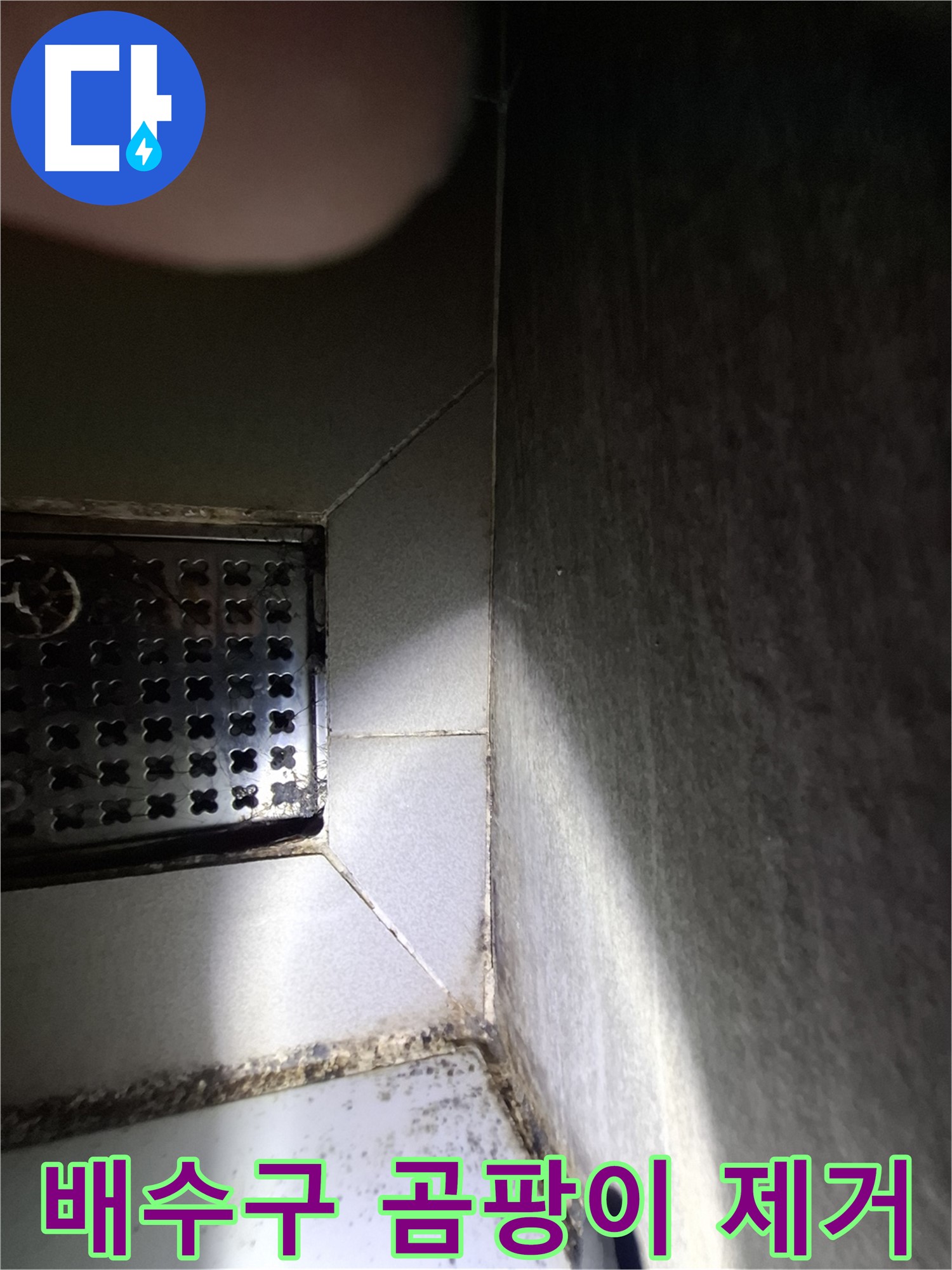 욕실 배수구 주변 곰팡이와 누수 원인 제거 - 근본적인 원인을 제거하여 누수를 해결합니다.