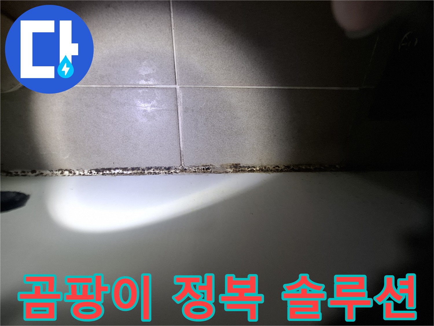 욕조 곰팡이 - 곰팡이 완전 정복을 위한 맞춤 솔루션 제공
