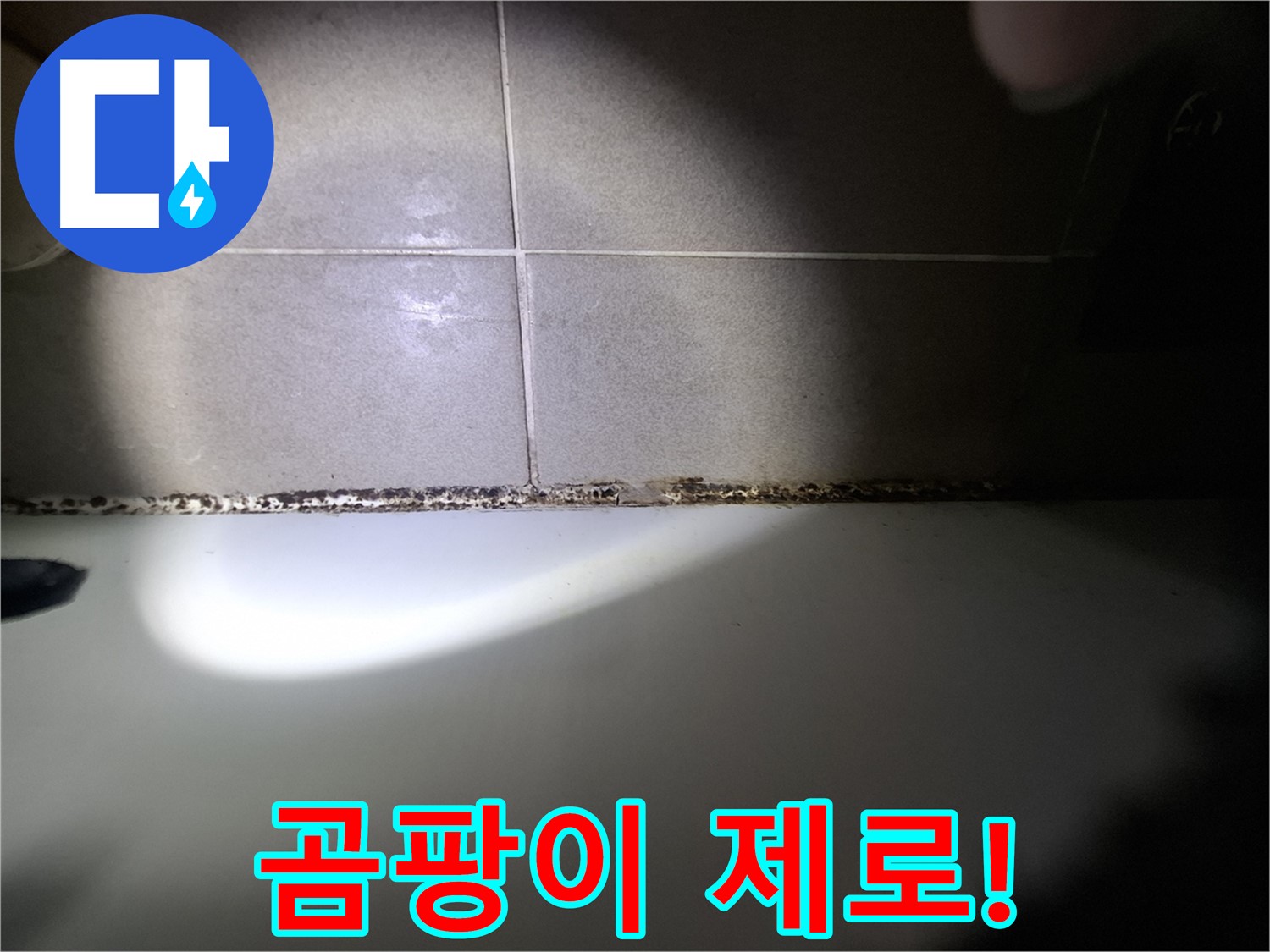 욕조 곰팡이 제거 - 곰팡이 제로를 위한 완벽 시공