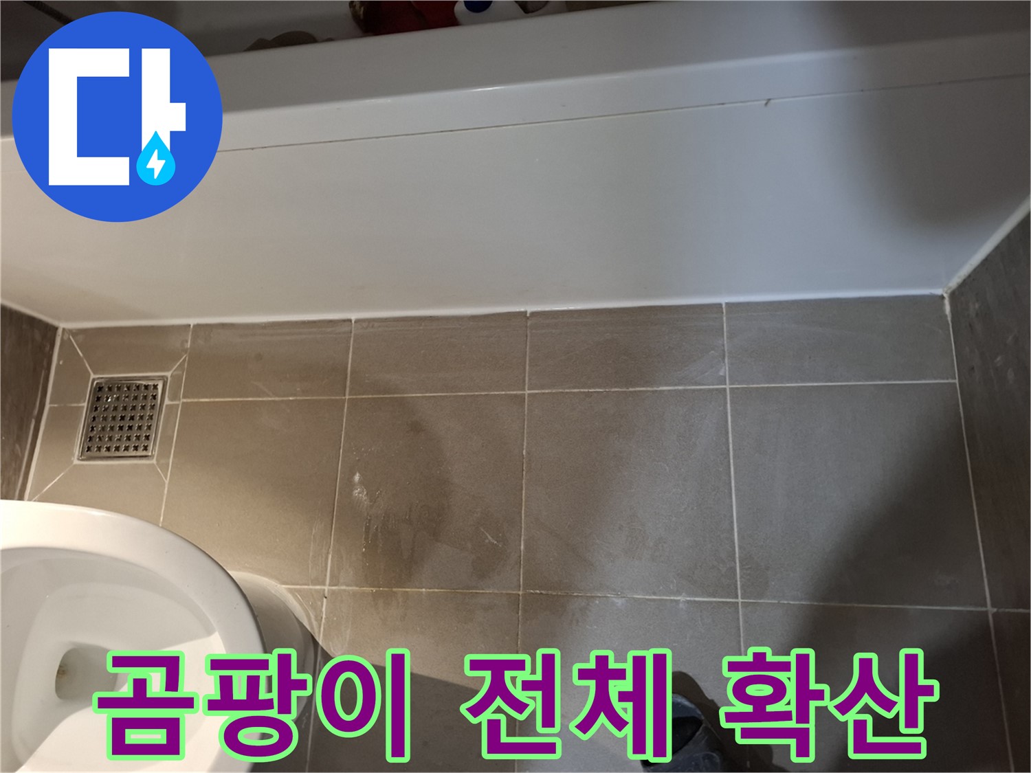 욕조 주변 타일 틈새 곰팡이 전체 확산 - 누수 심각