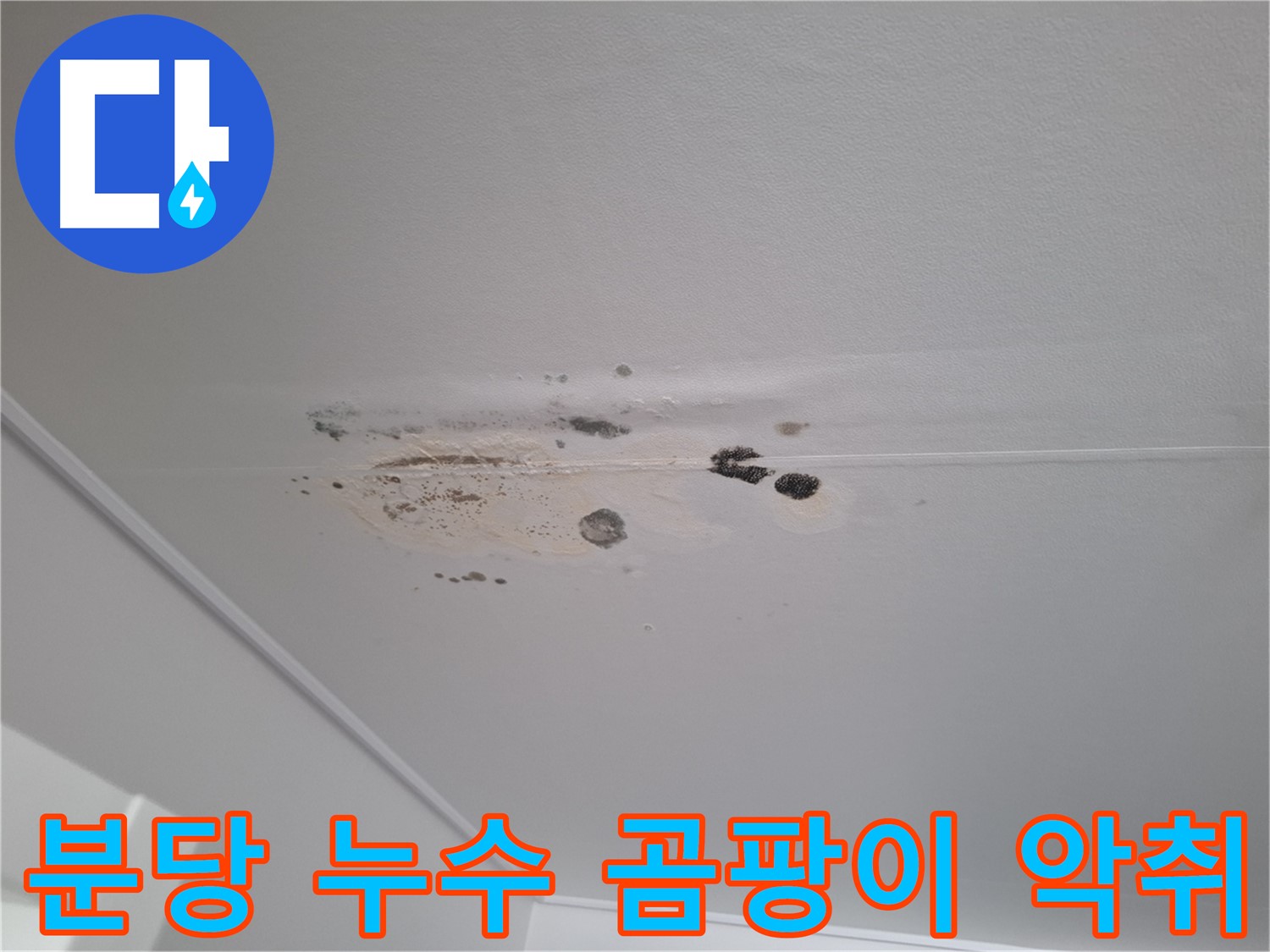 천장 누수 곰팡이 - 악취 발생, 쾌적한 환경을 위해